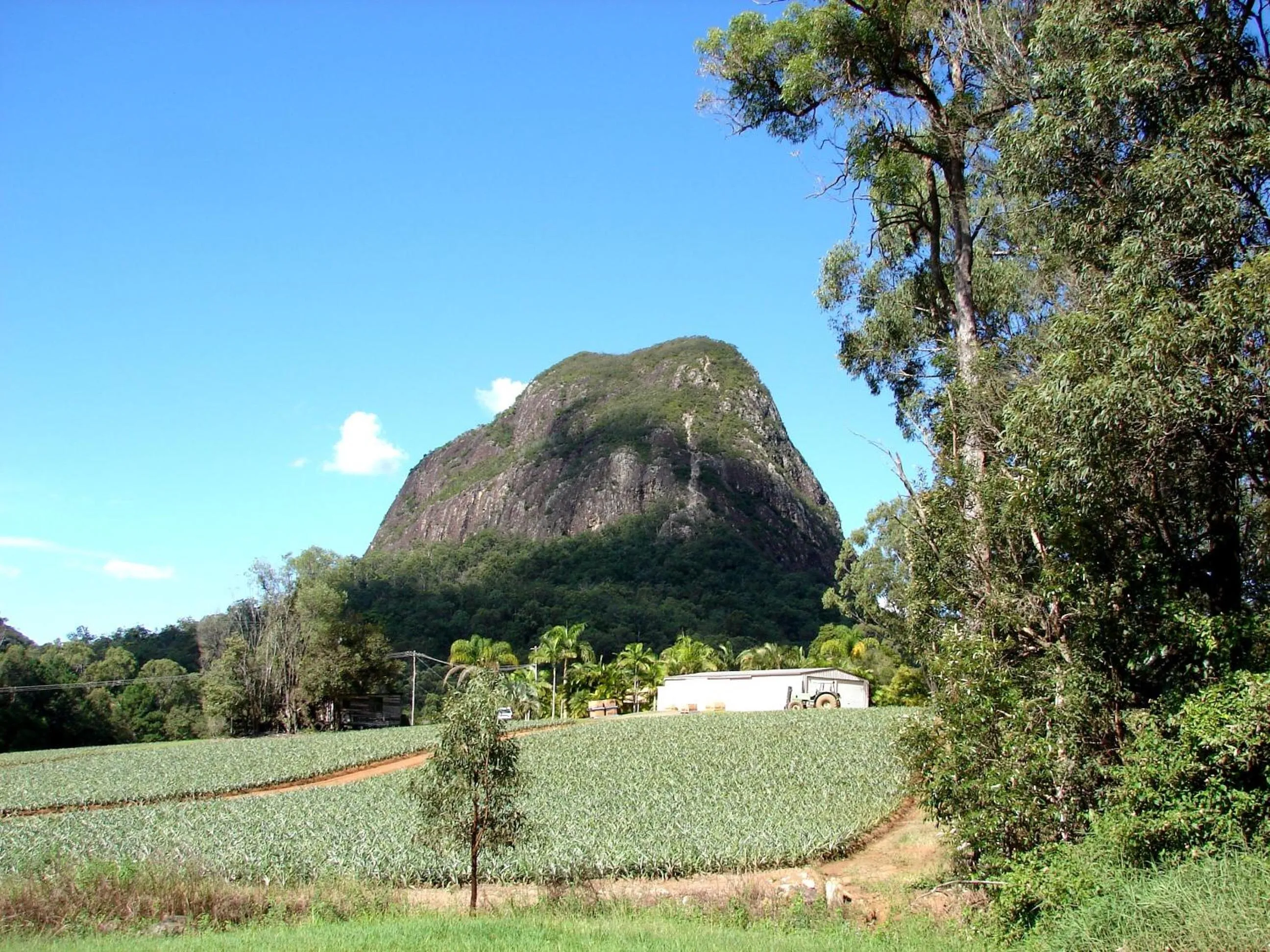 Area and facilities in Glass House Mountains Ecolodge
