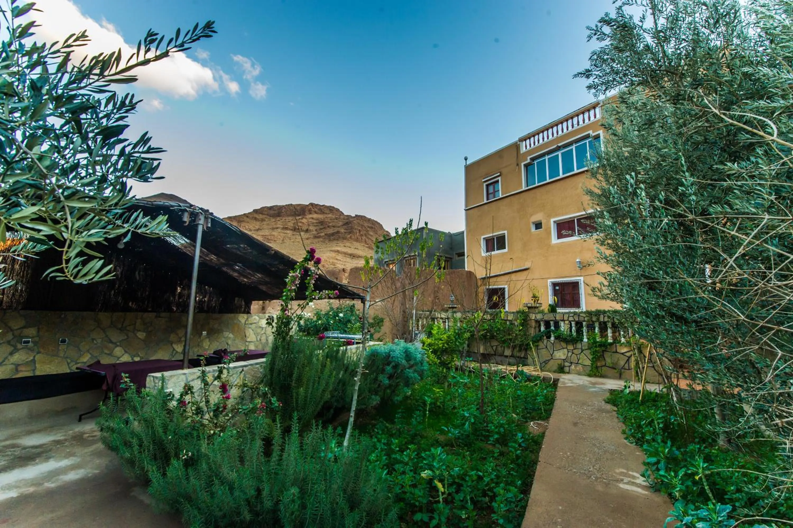 Les Jardins De Todgha gorges de todra tinghir