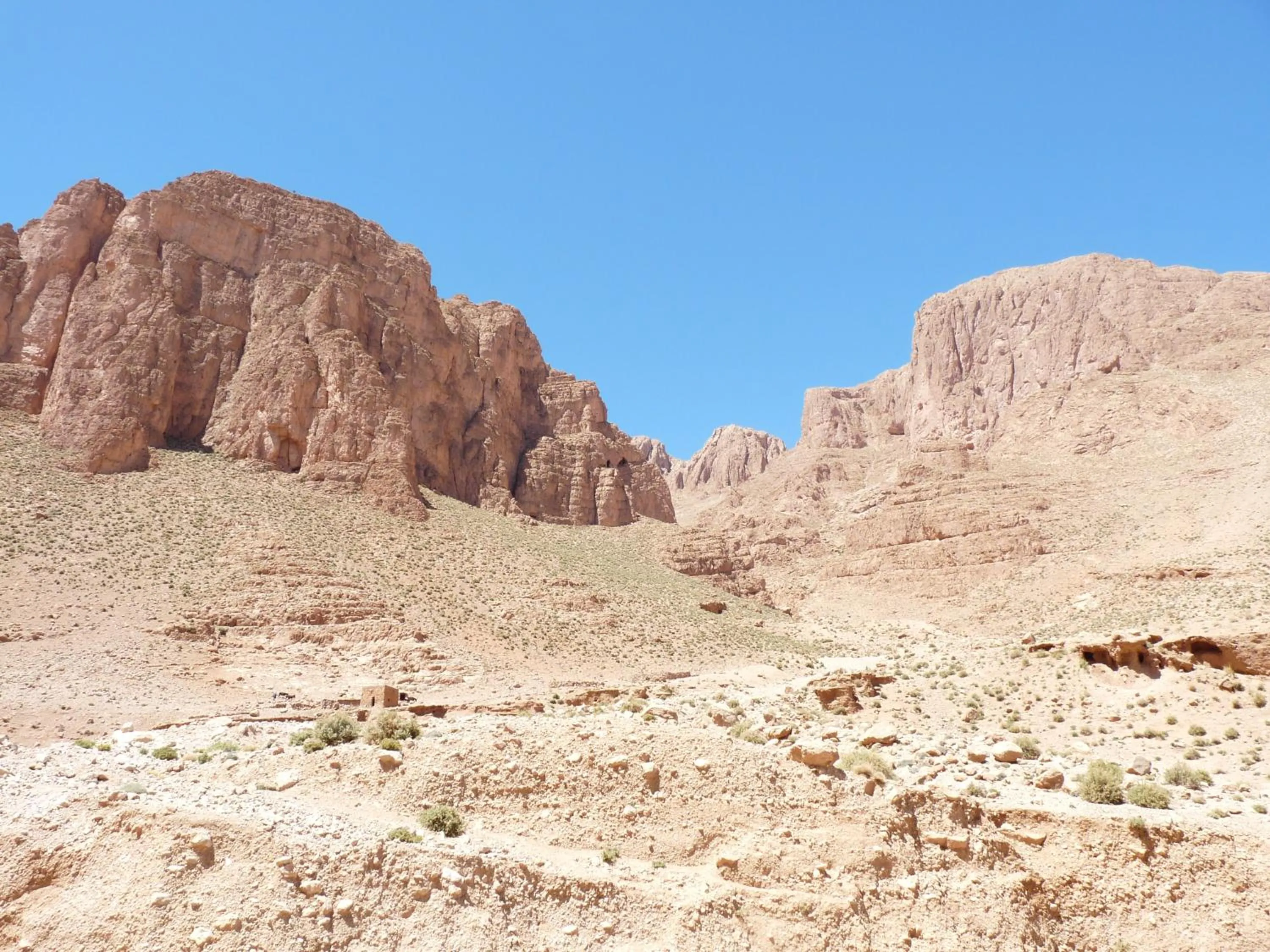 Les Jardins De Todgha gorges de todra tinghir