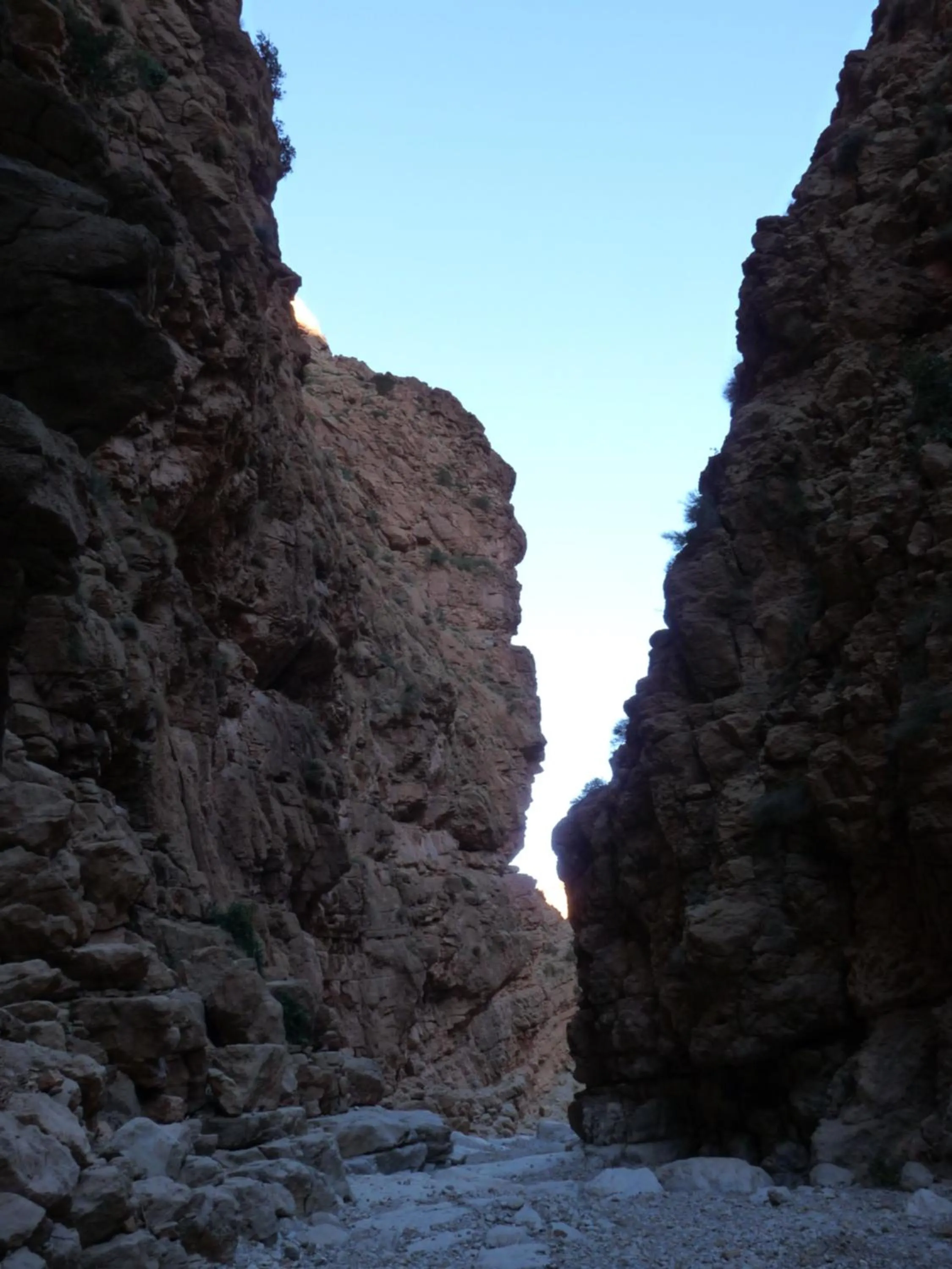 Les Jardins De Todgha gorges de todra tinghir
