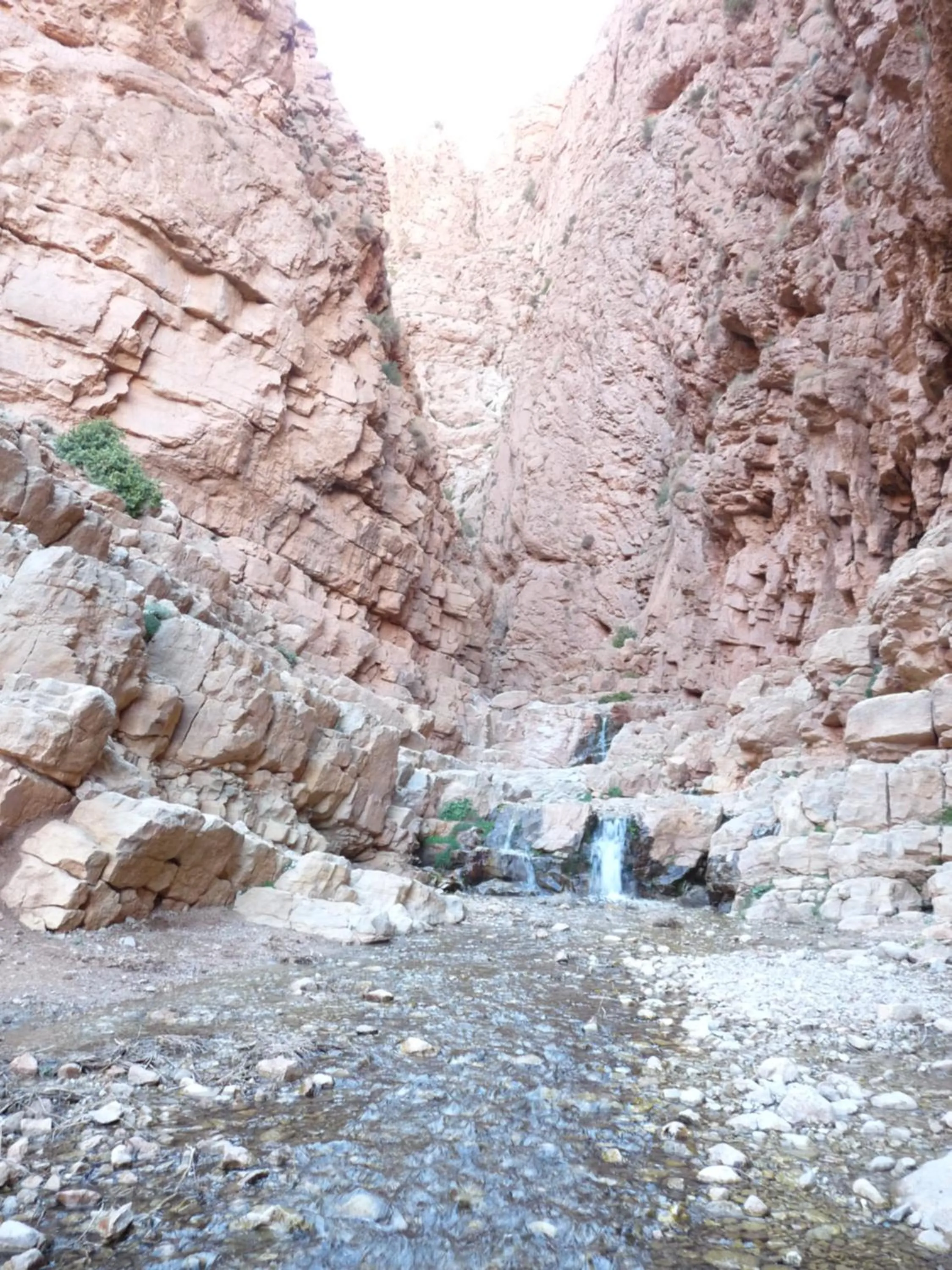 Les Jardins De Todgha gorges de todra tinghir