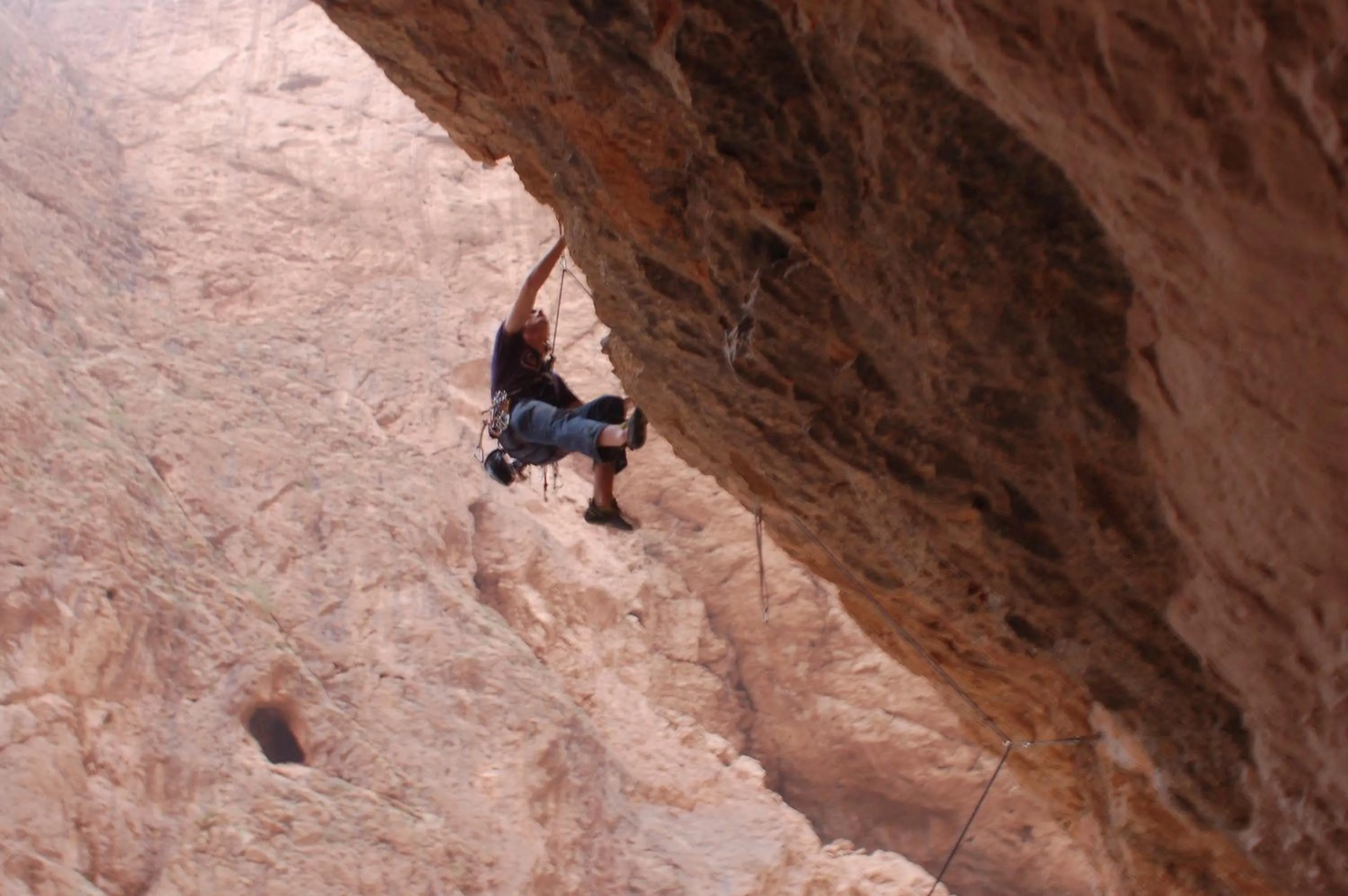 Day in Les Jardins De Todgha gorges de todra tinghir