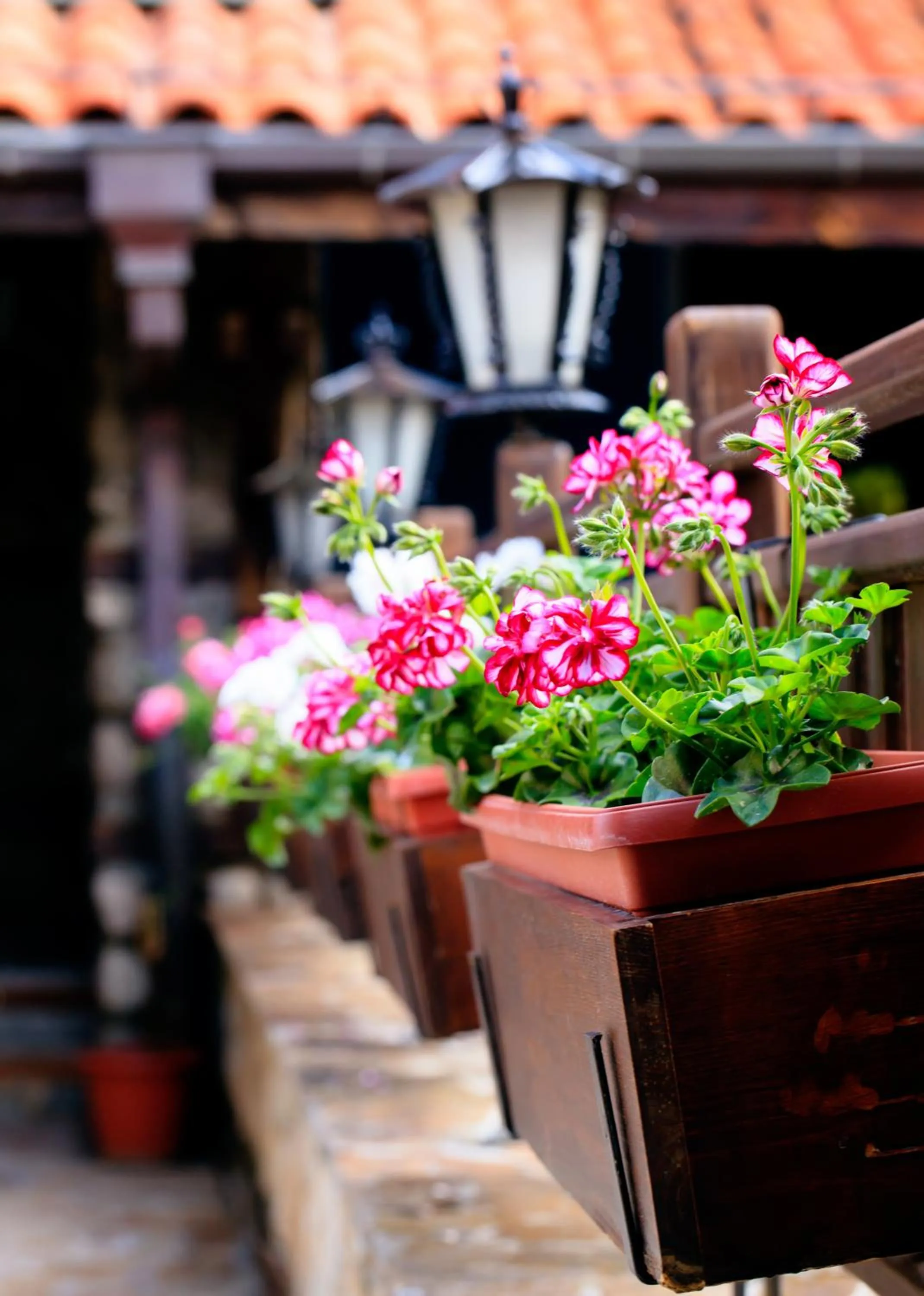 Spring in Hotel Tanne