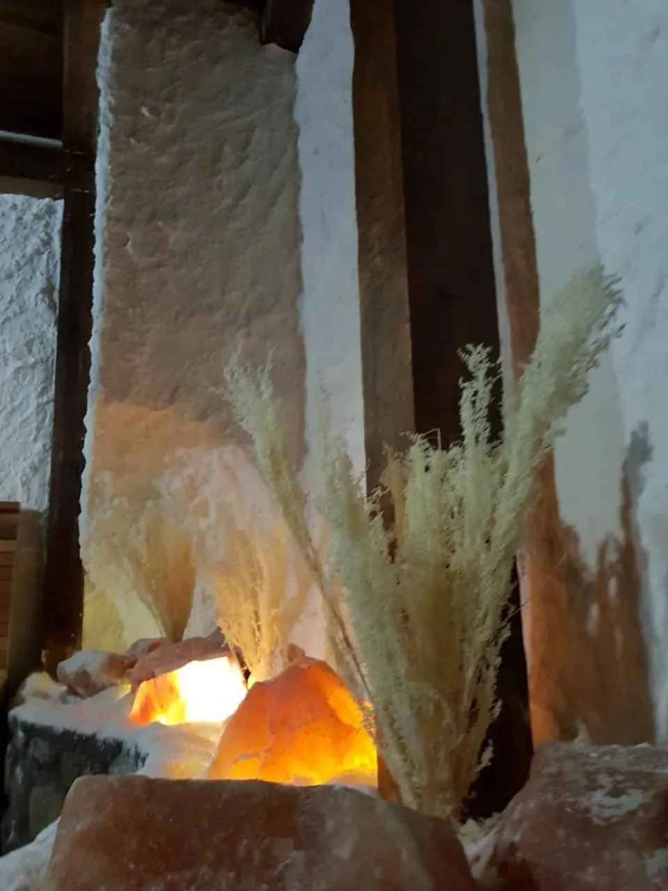 Spa and wellness centre/facilities in Hotel Tanne