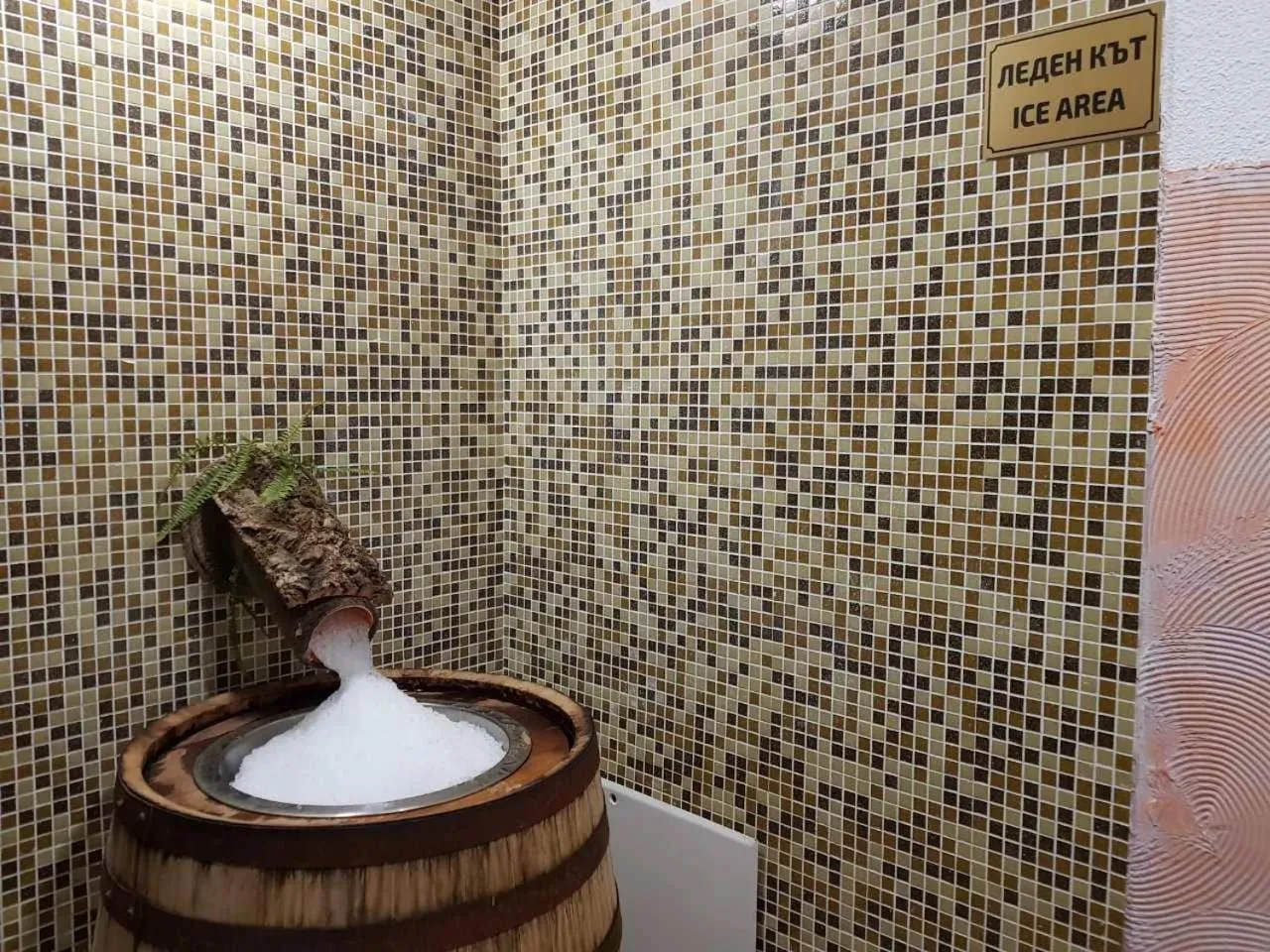 Property building in Hotel Tanne