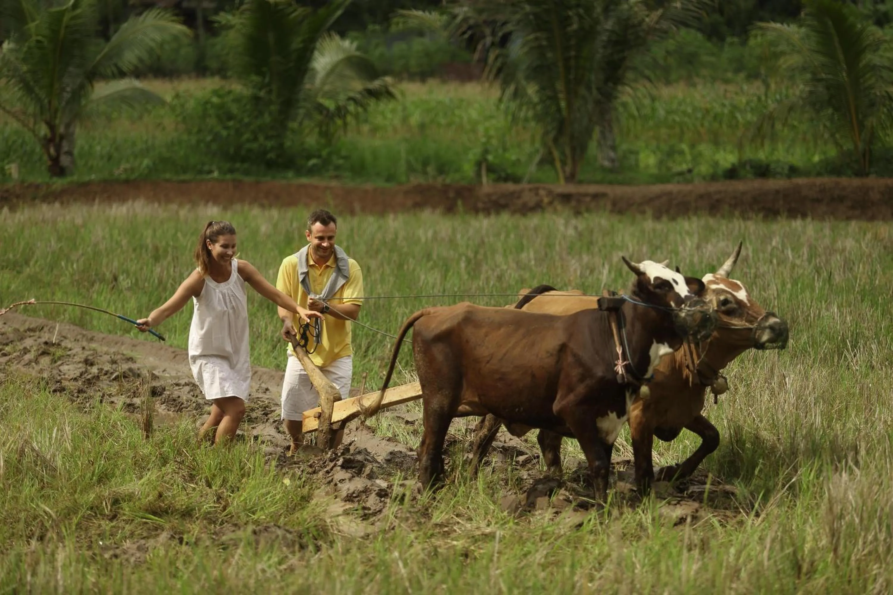Facade/entrance in Plataran Borobudur