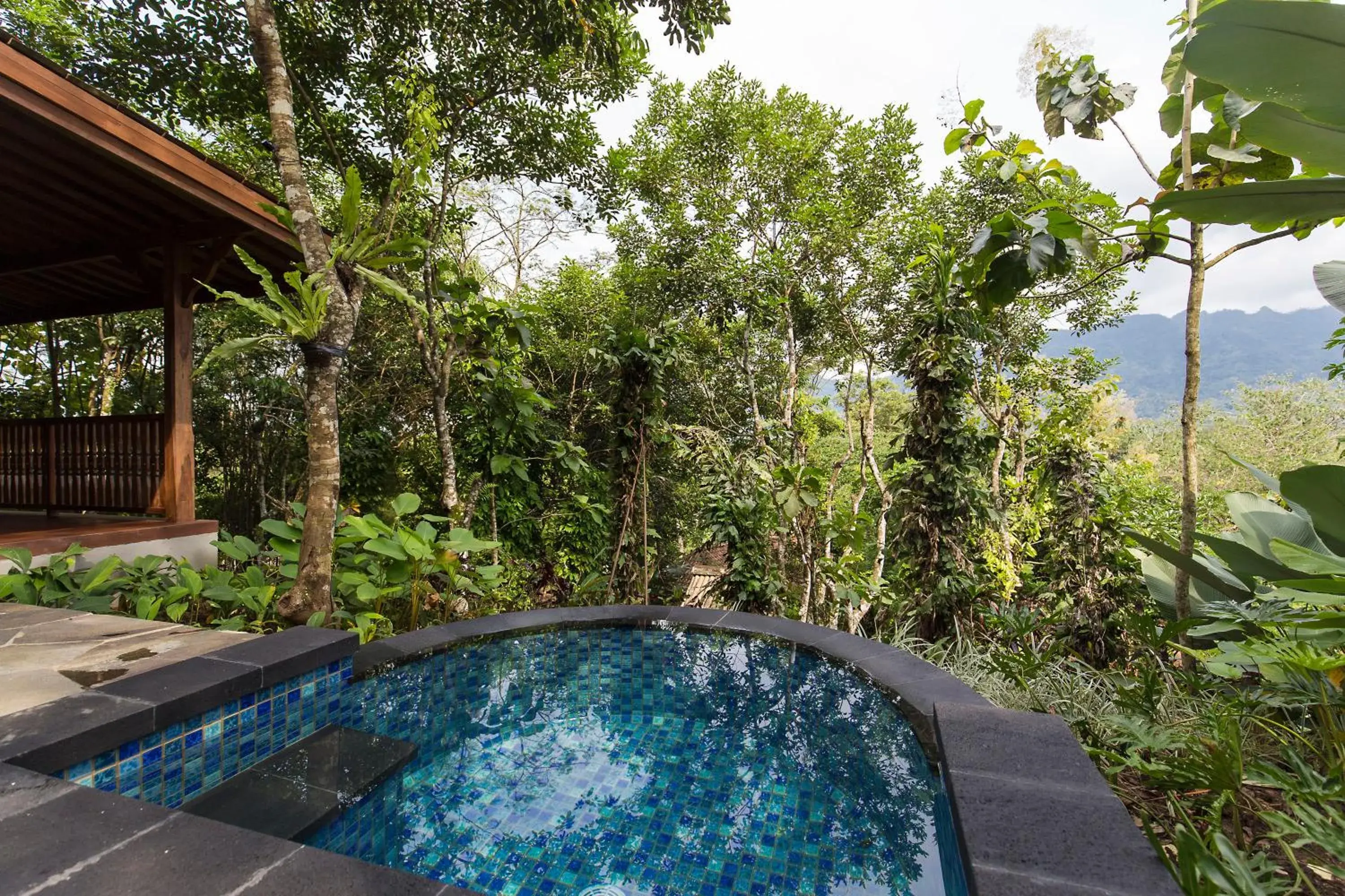 Garden, Swimming Pool in Plataran Borobudur