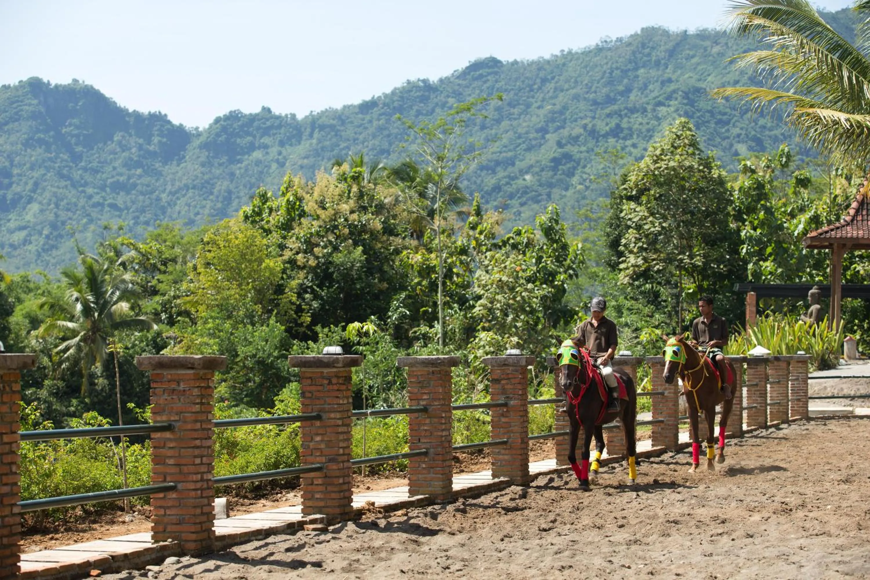 Sports in Plataran Borobudur