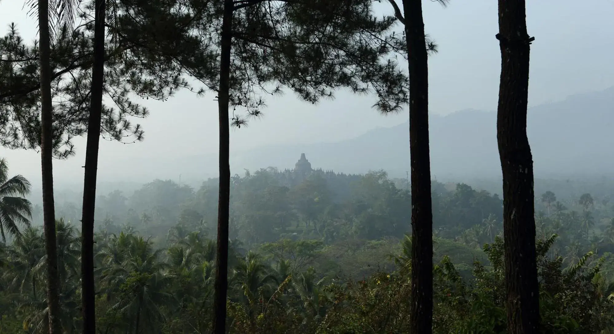 Off site, Mountain View in Plataran Borobudur