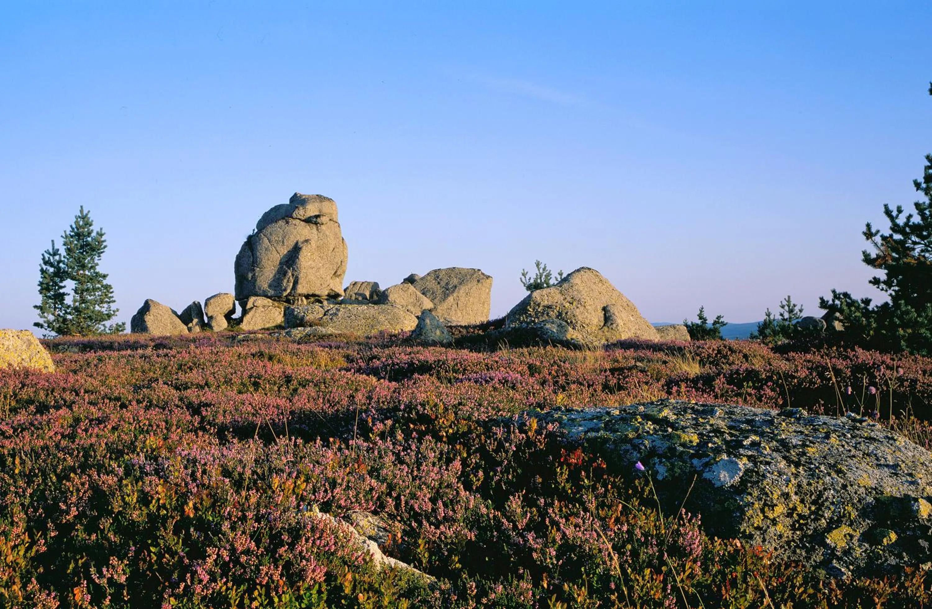 Logis Hotel Restaurant des Gorges du Tarn