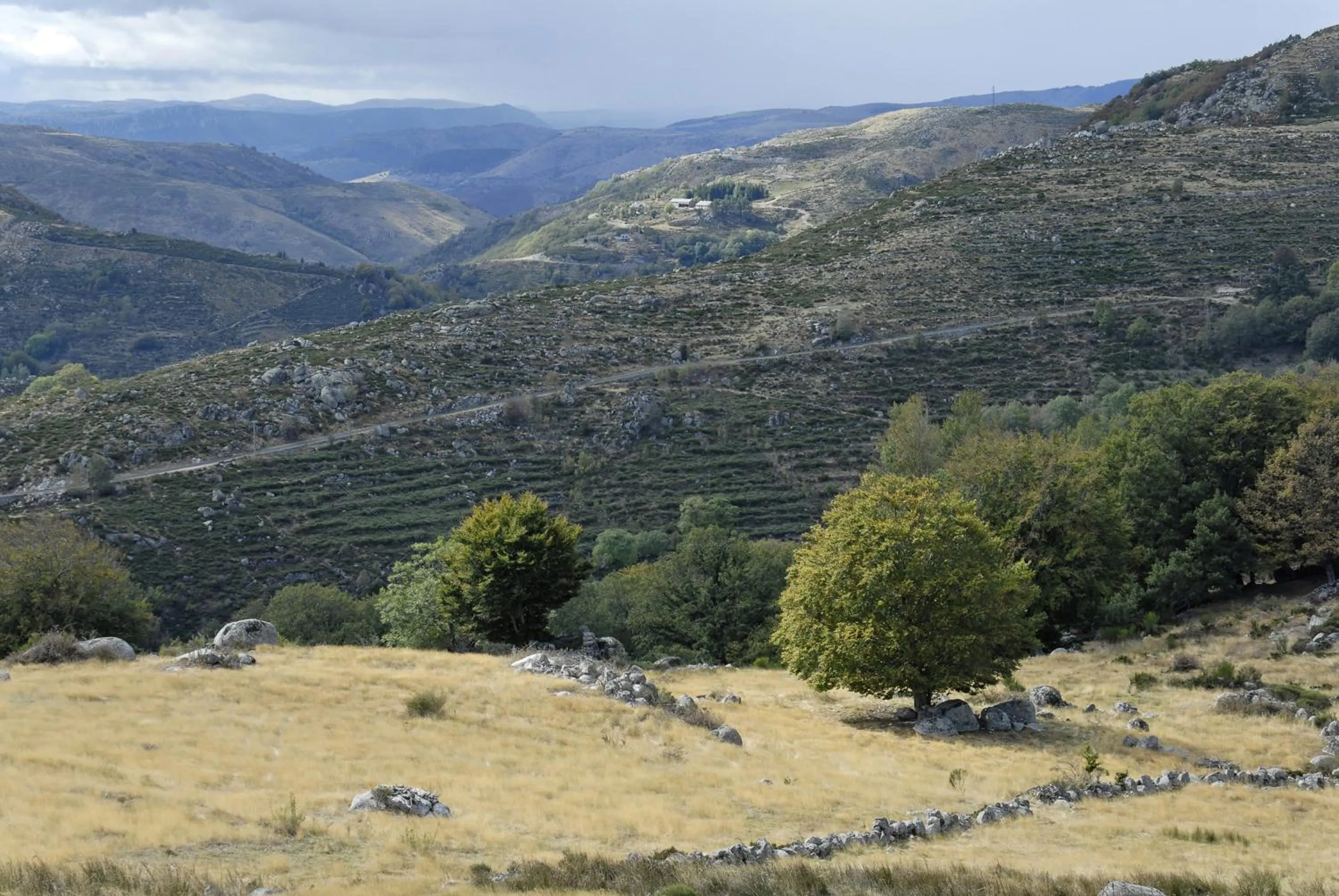 Logis Hotel Restaurant des Gorges du Tarn