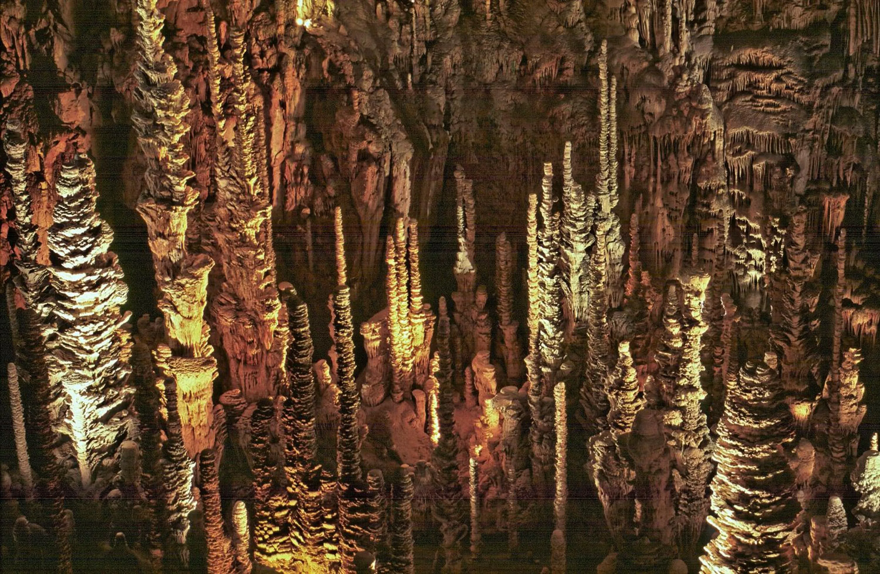 Logis Hotel Restaurant des Gorges du Tarn