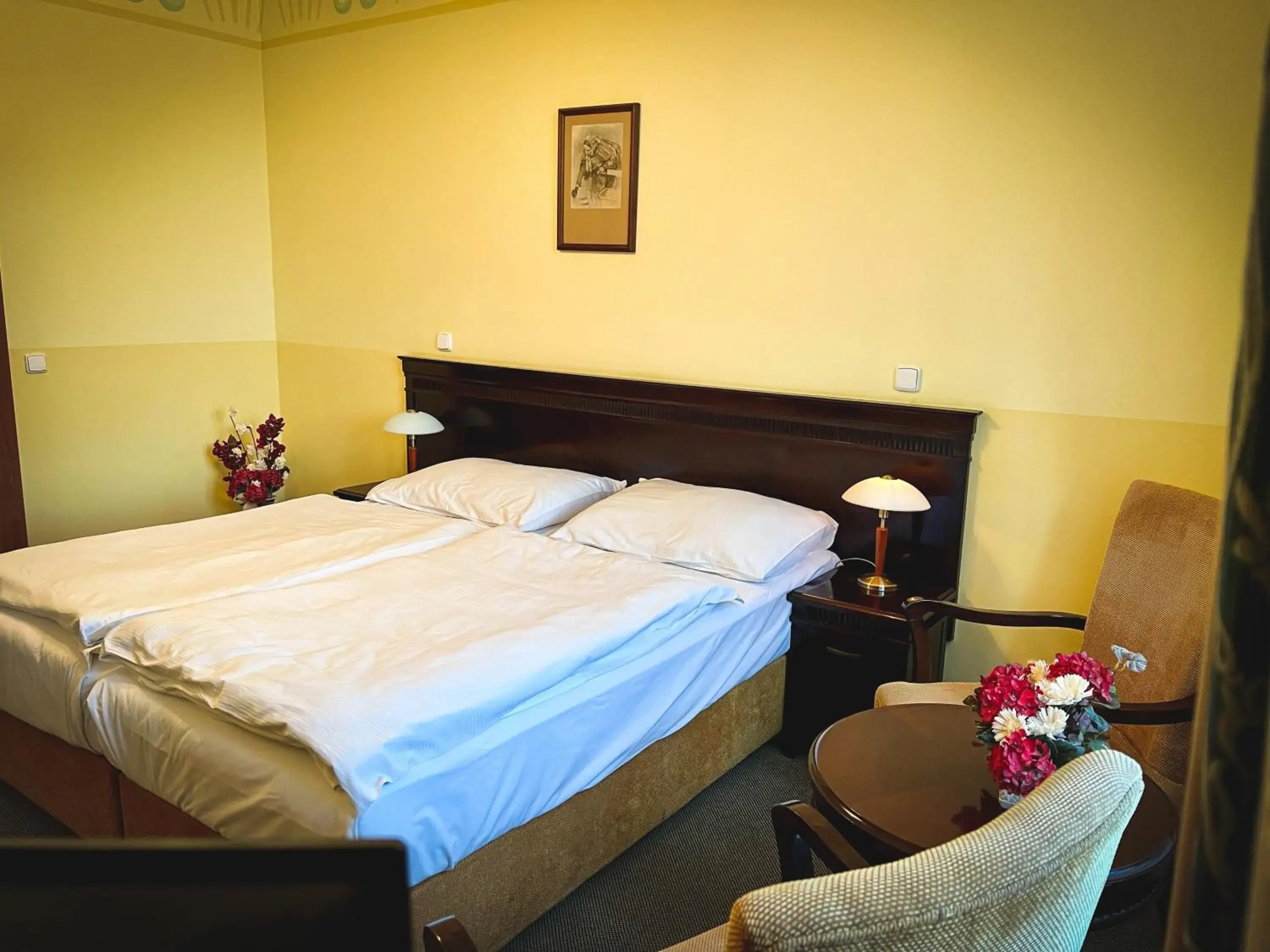 Double or Twin Room with Extra Bed in Hotel U Zeleneho stromu Double or Twin Room with Extra Bed in Hotel U Zeleneho stromu