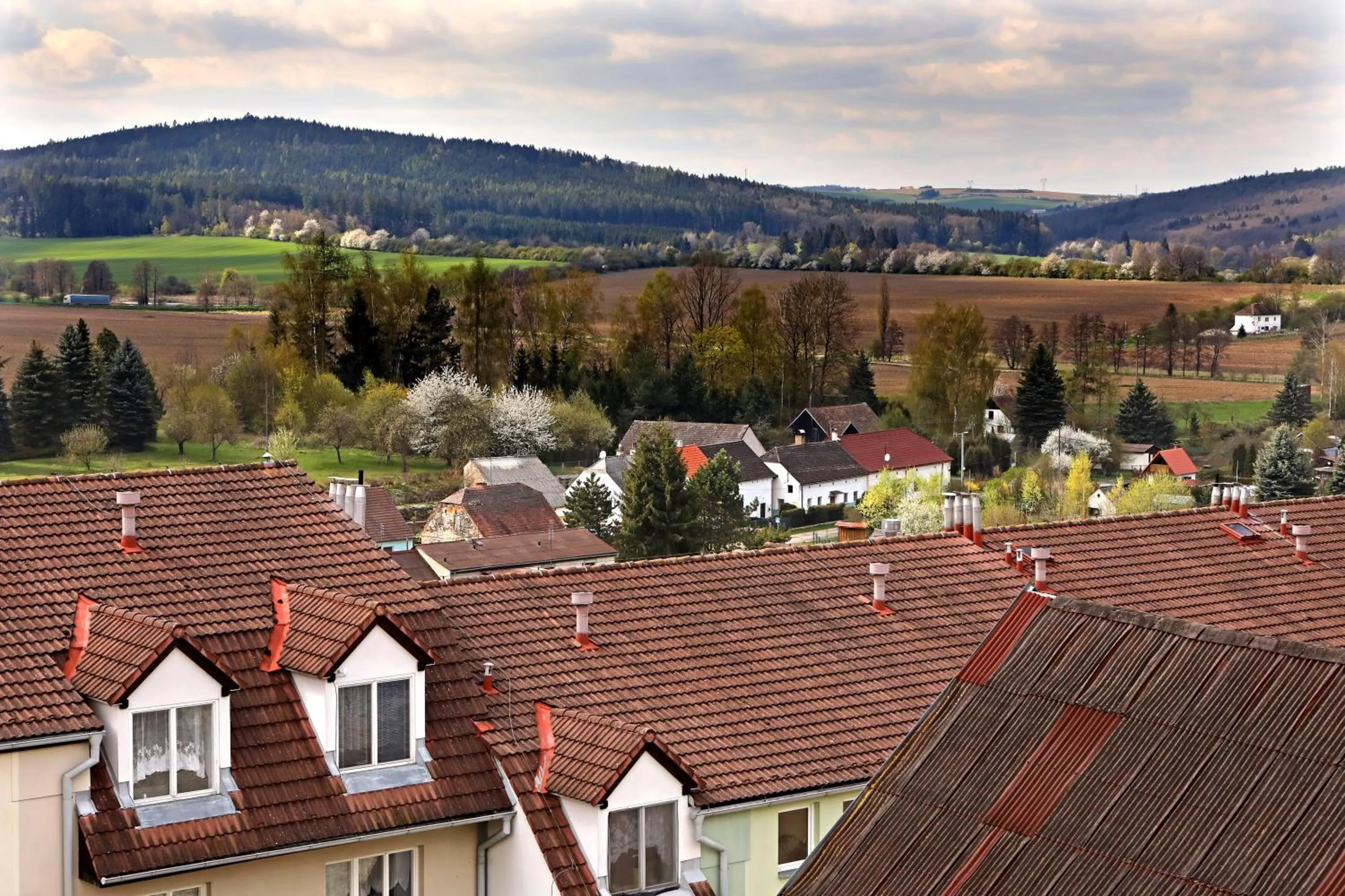 Property building in Hotel U Zeleneho stromu