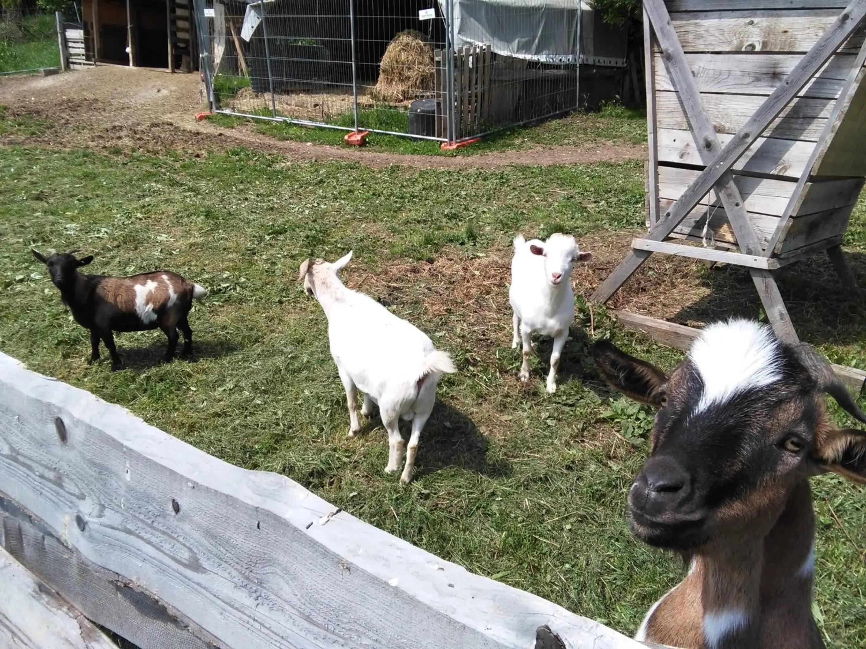 Garden view in Giongo Residence - Appartamenti