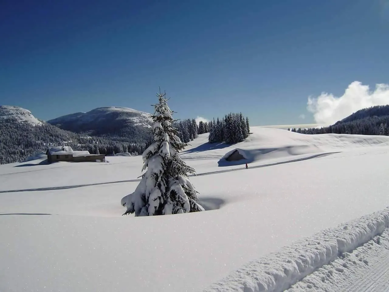 Caminetto Mountain Resort