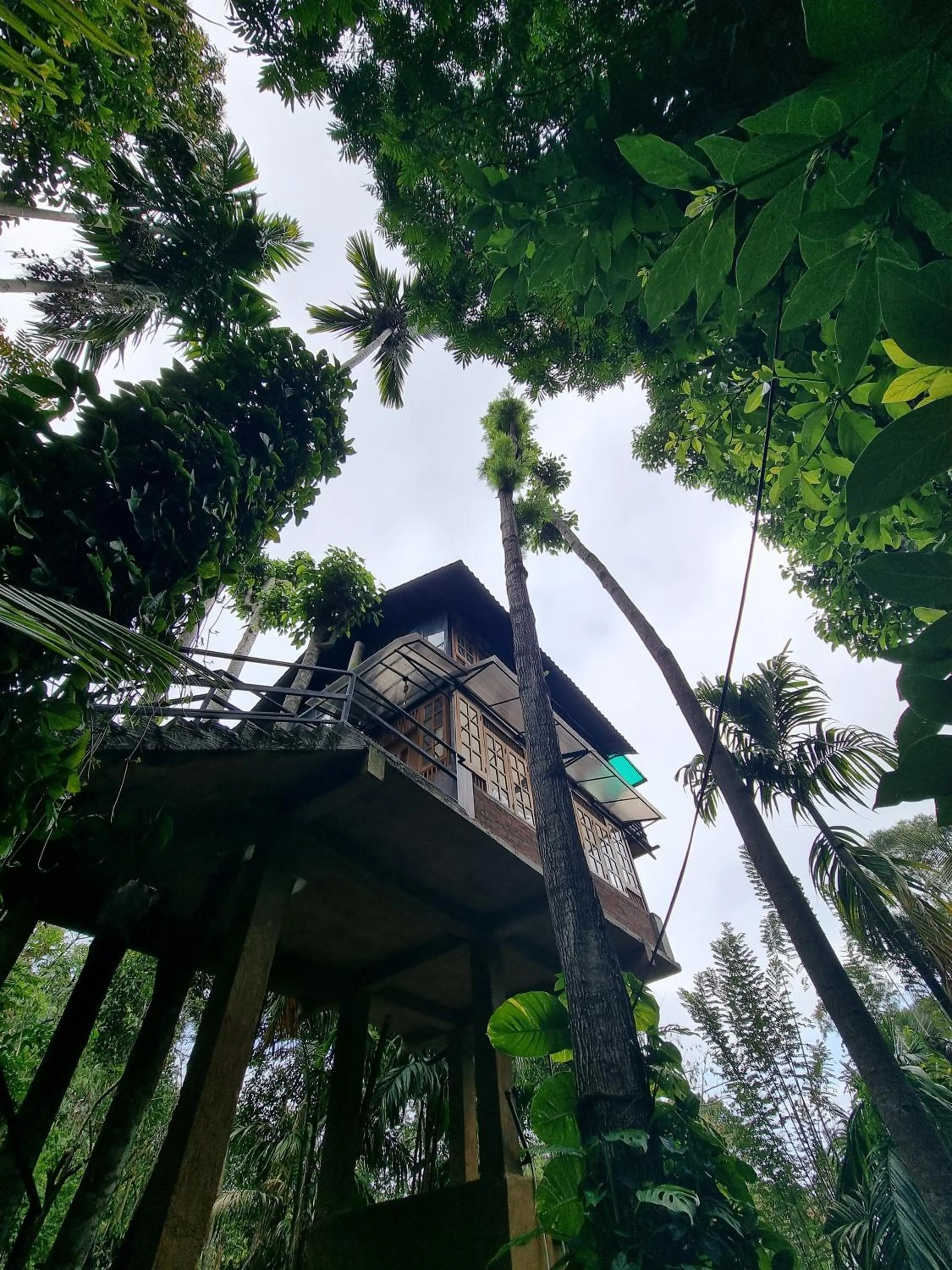 Arana Sri Lanka Eco Lodge and Yoga Center