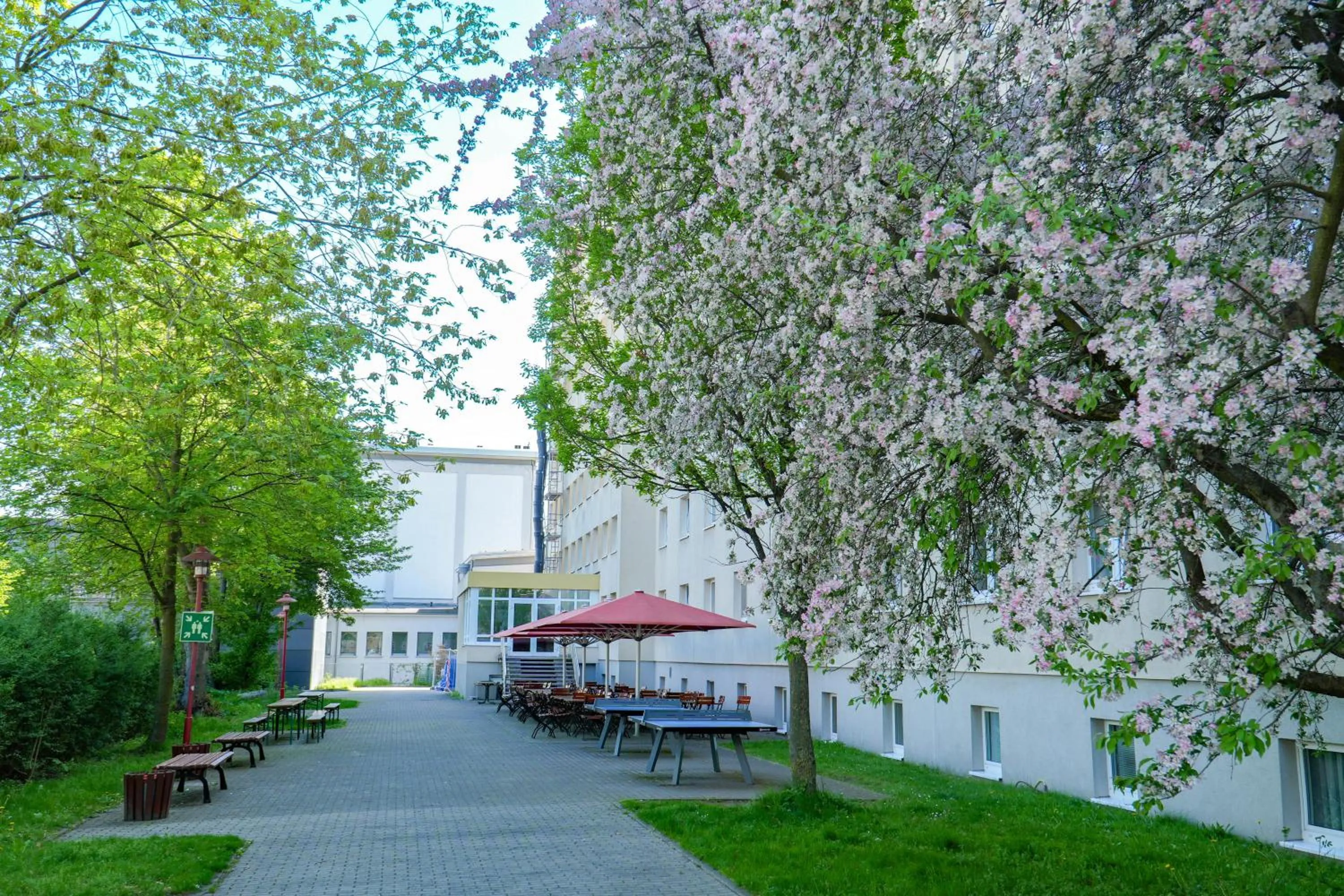 Property building in DJH Jugendherberge Dresden - Jugendgästehaus