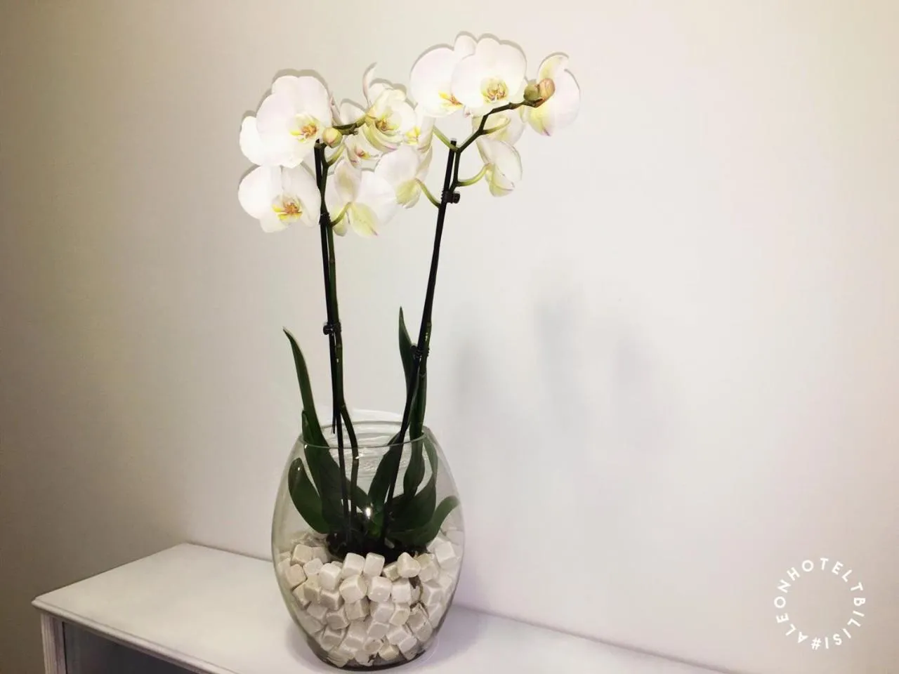 Decorative detail in Aleon Hotel