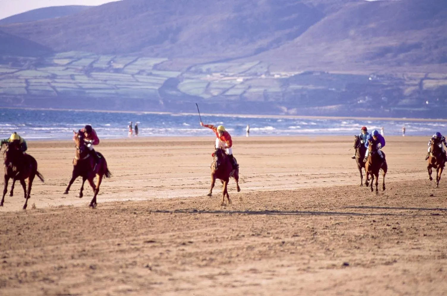 Area and facilities in Ardree House B&B