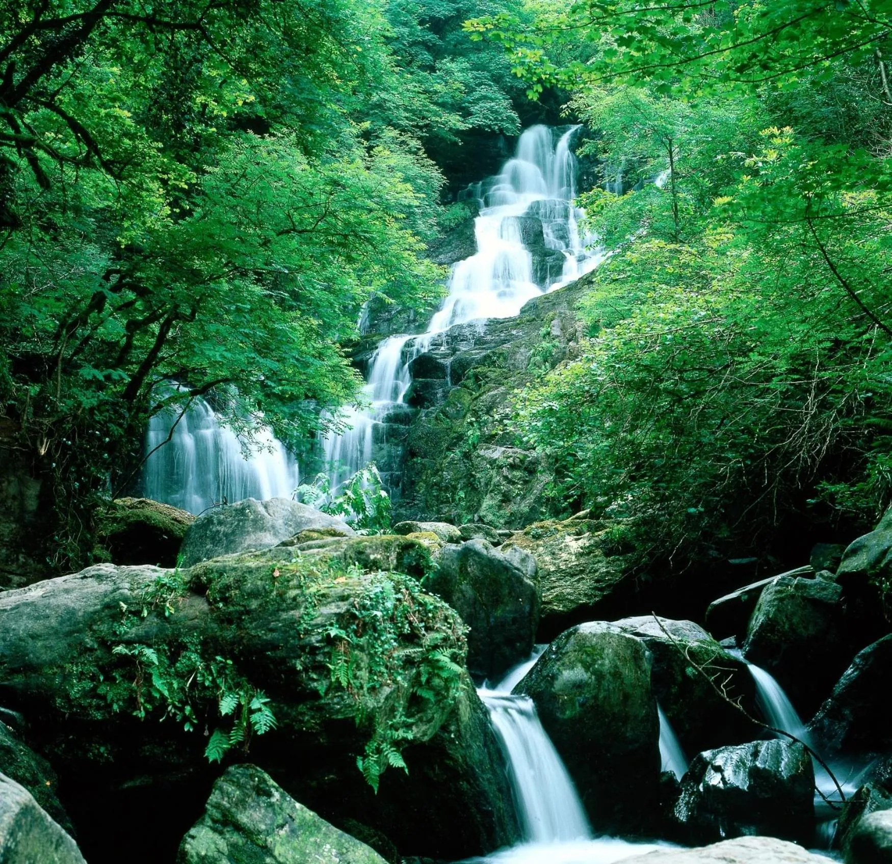 Area and facilities in Ardree House B&B