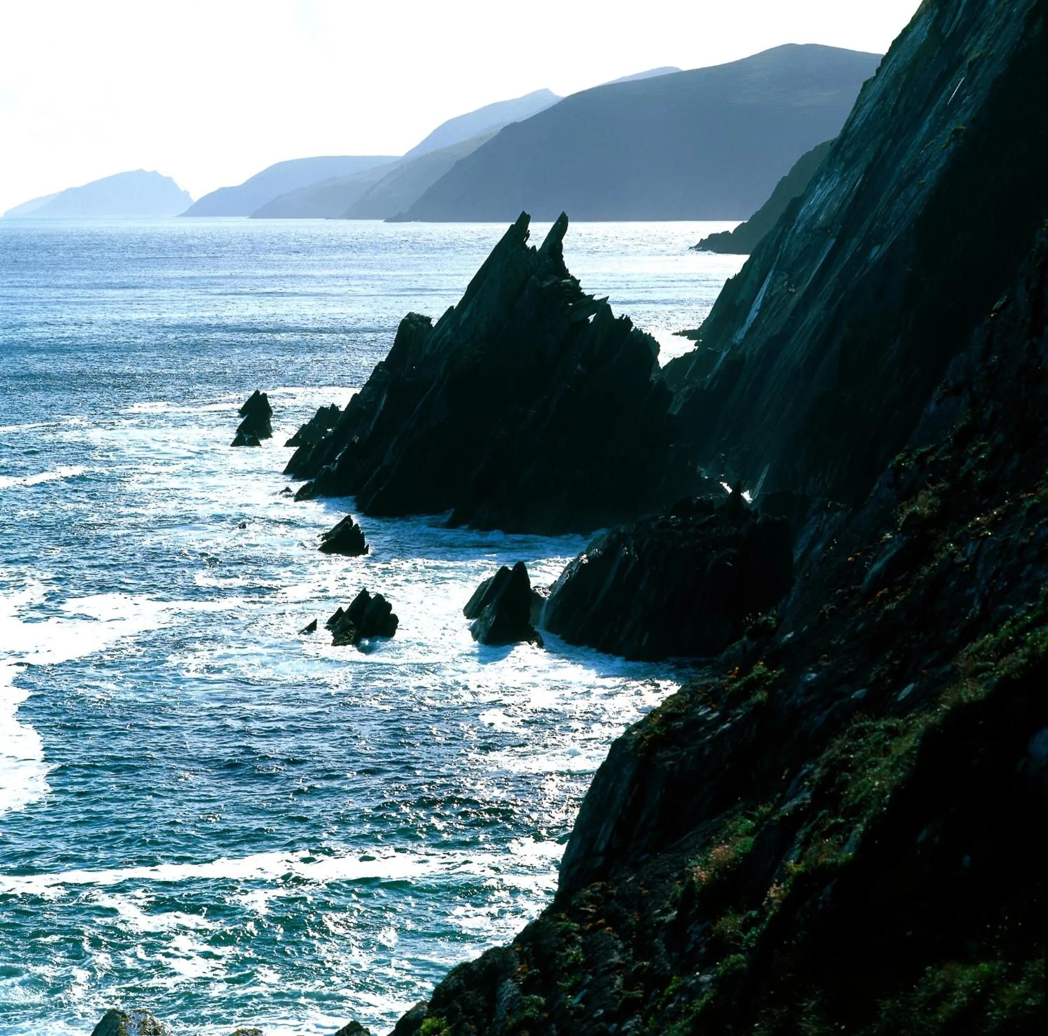 Area and facilities in Ardree House B&B