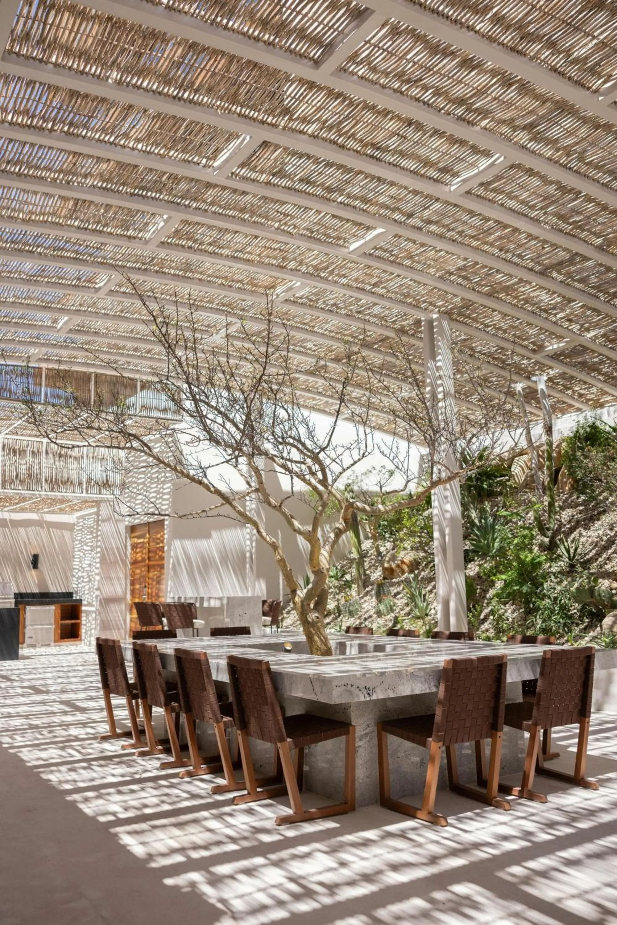 Other in Solaz, a Luxury Collection Resort, Los Cabos