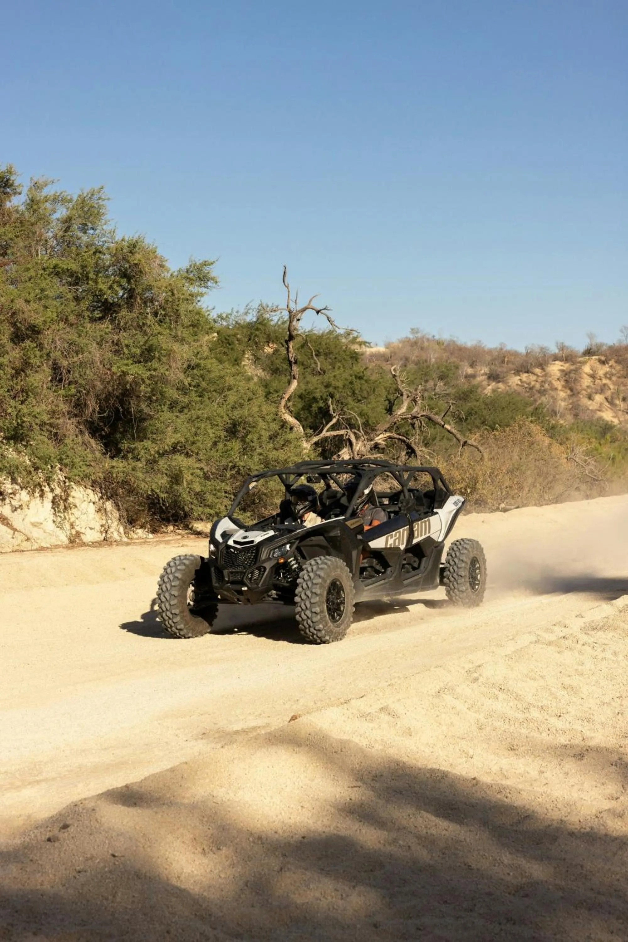 Other in Solaz, a Luxury Collection Resort, Los Cabos