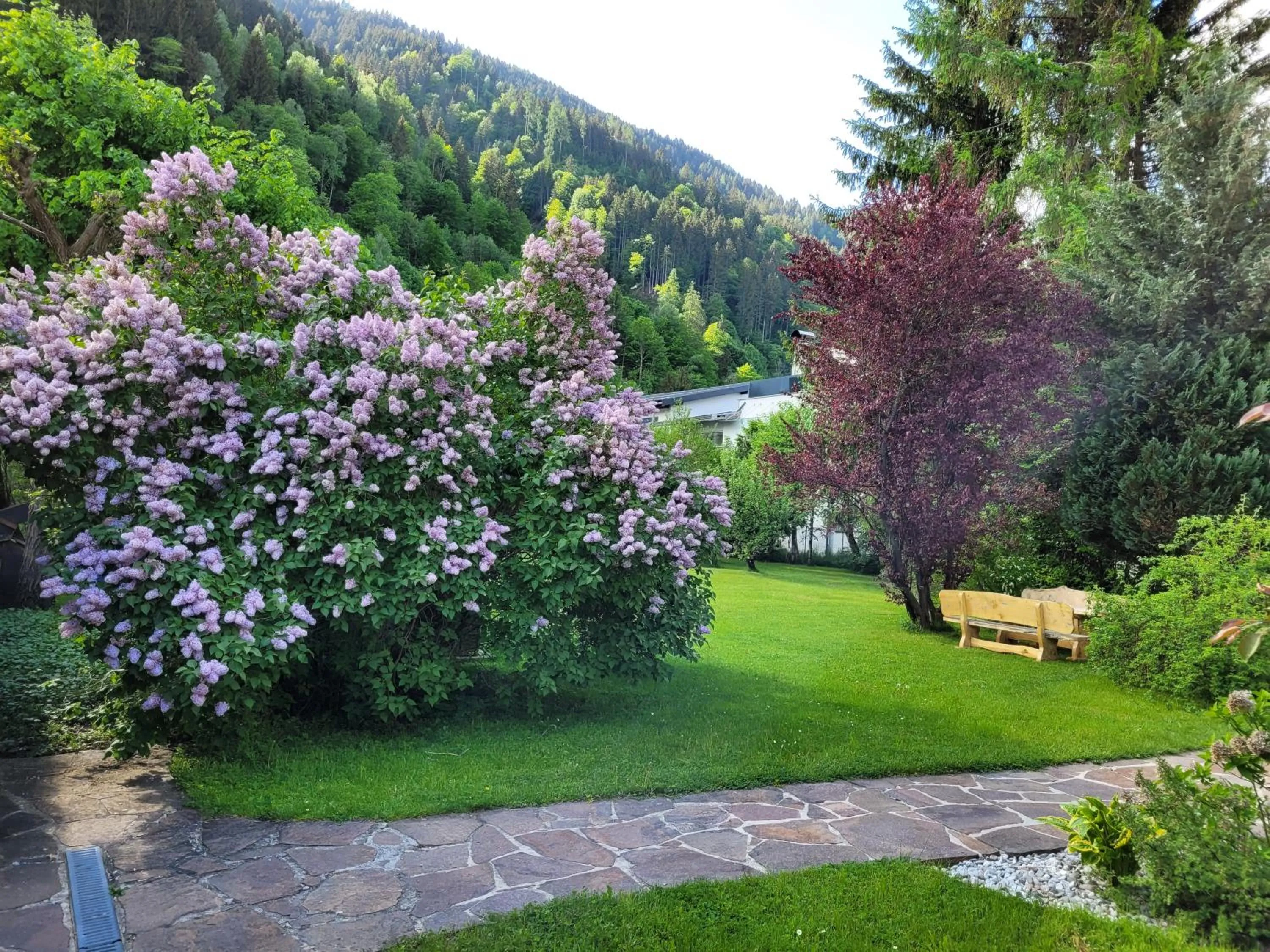 Garden in Panorama Apartments - Steinbock Lodges