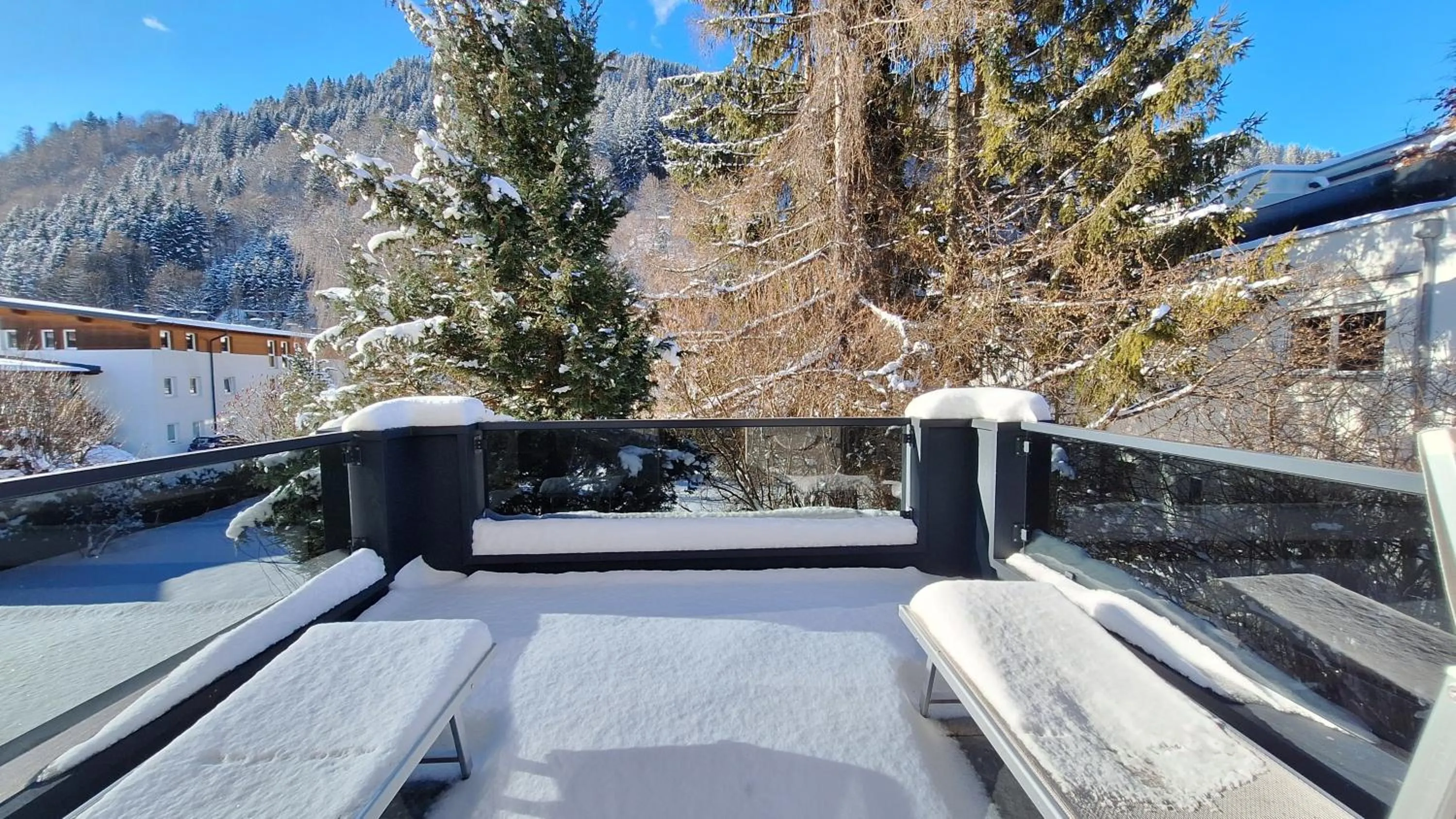 Winter in Panorama Apartments - Steinbock Lodges