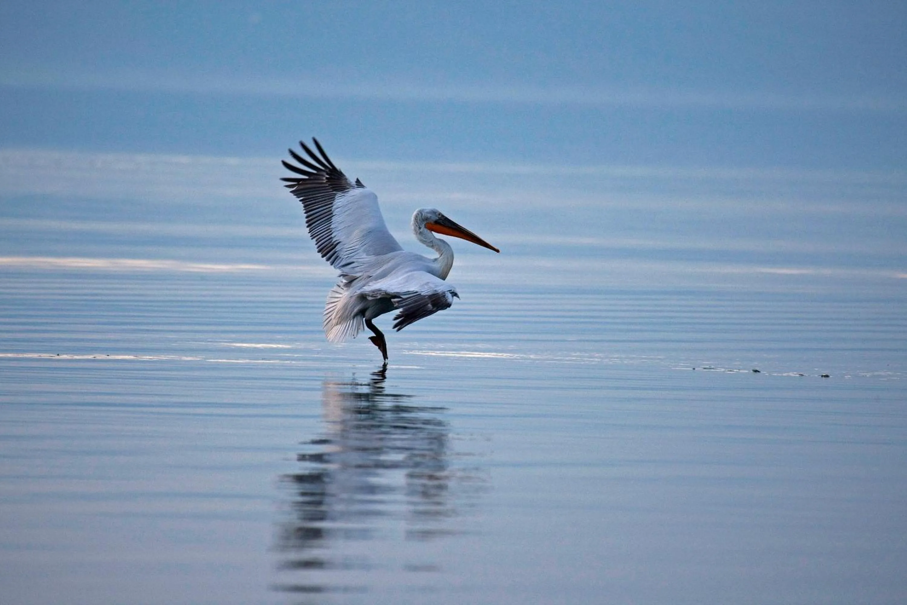 Natural landscape in Agios Germanos