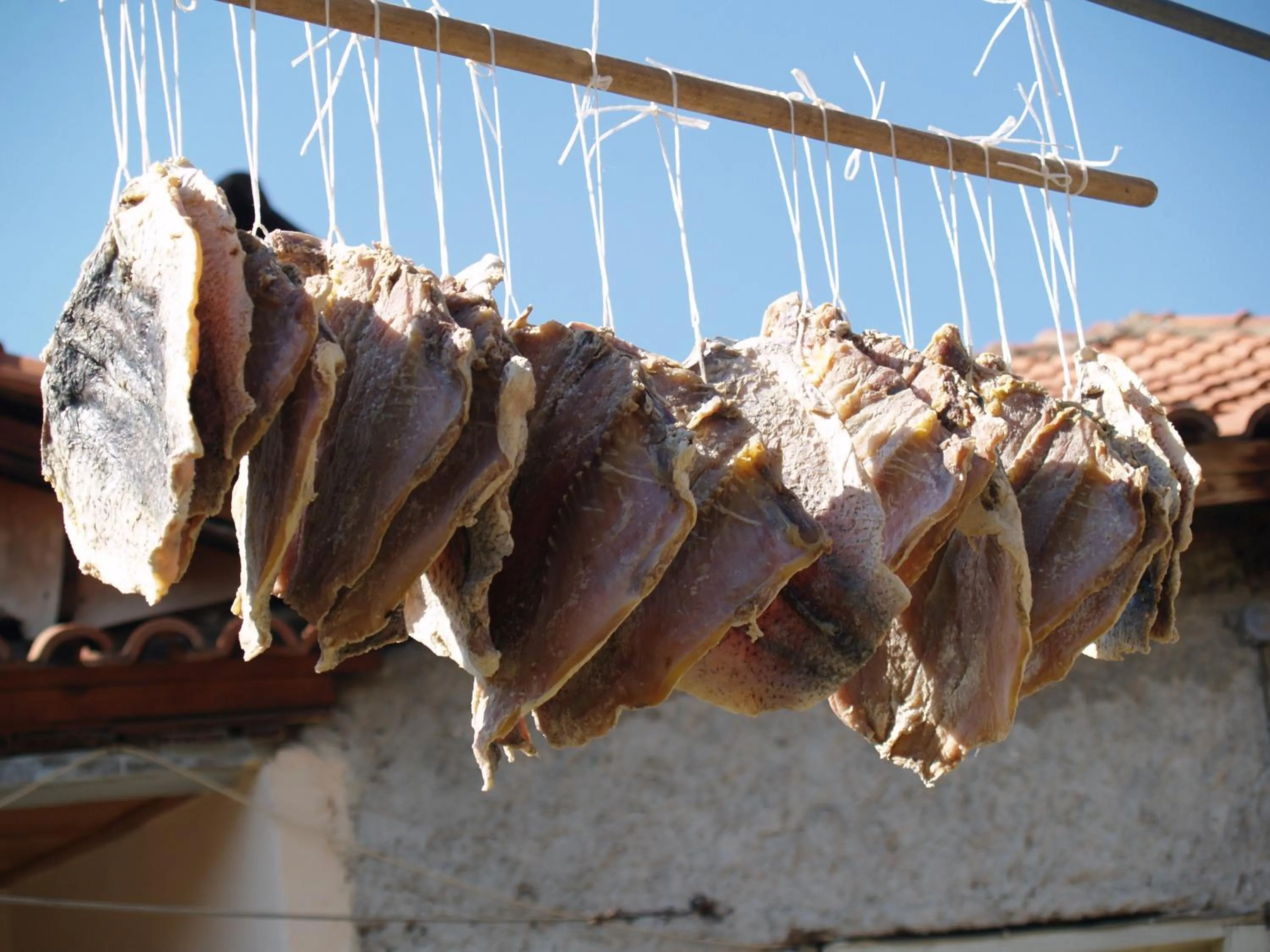 Day in Agios Germanos