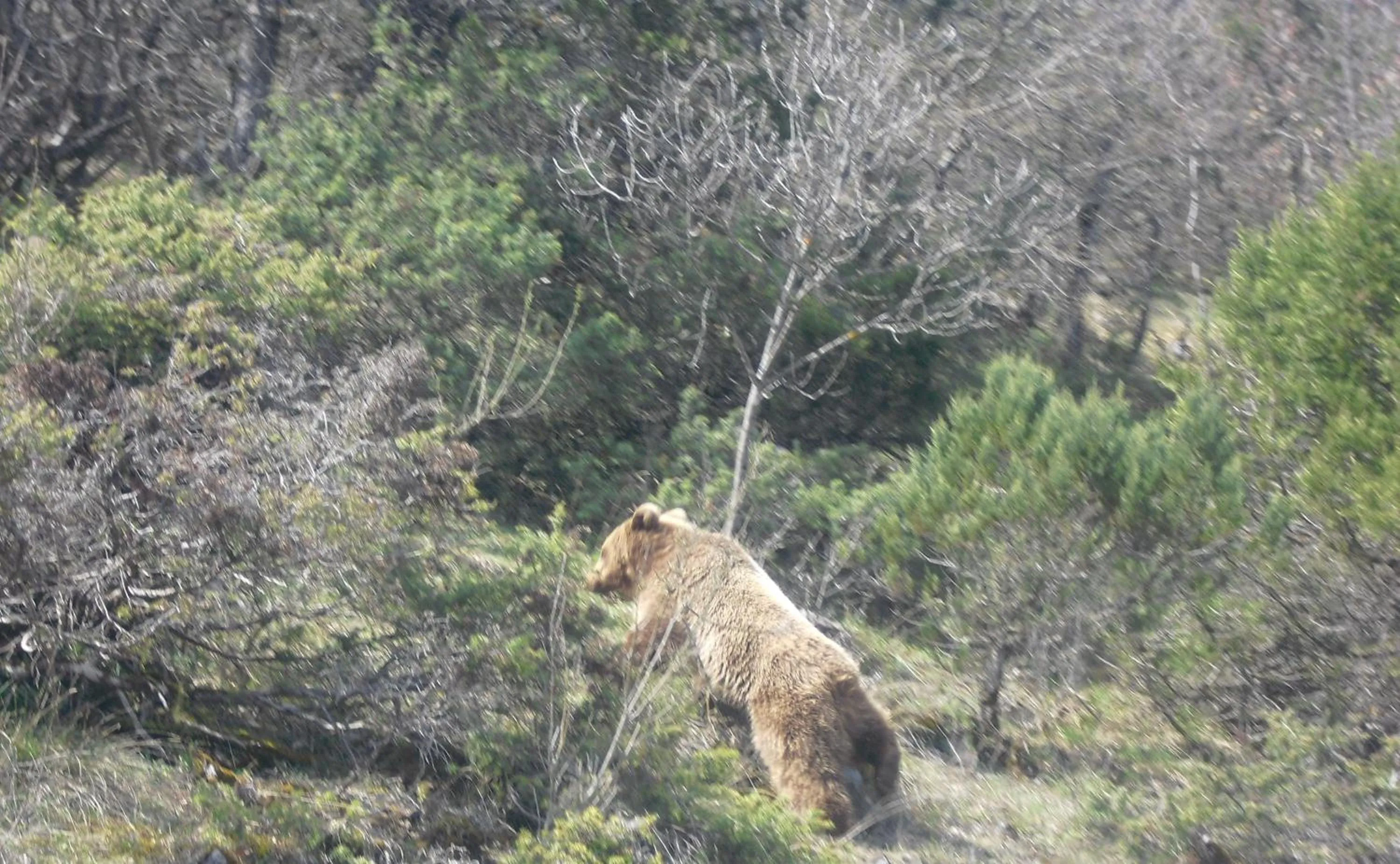 Natural landscape in Agios Germanos