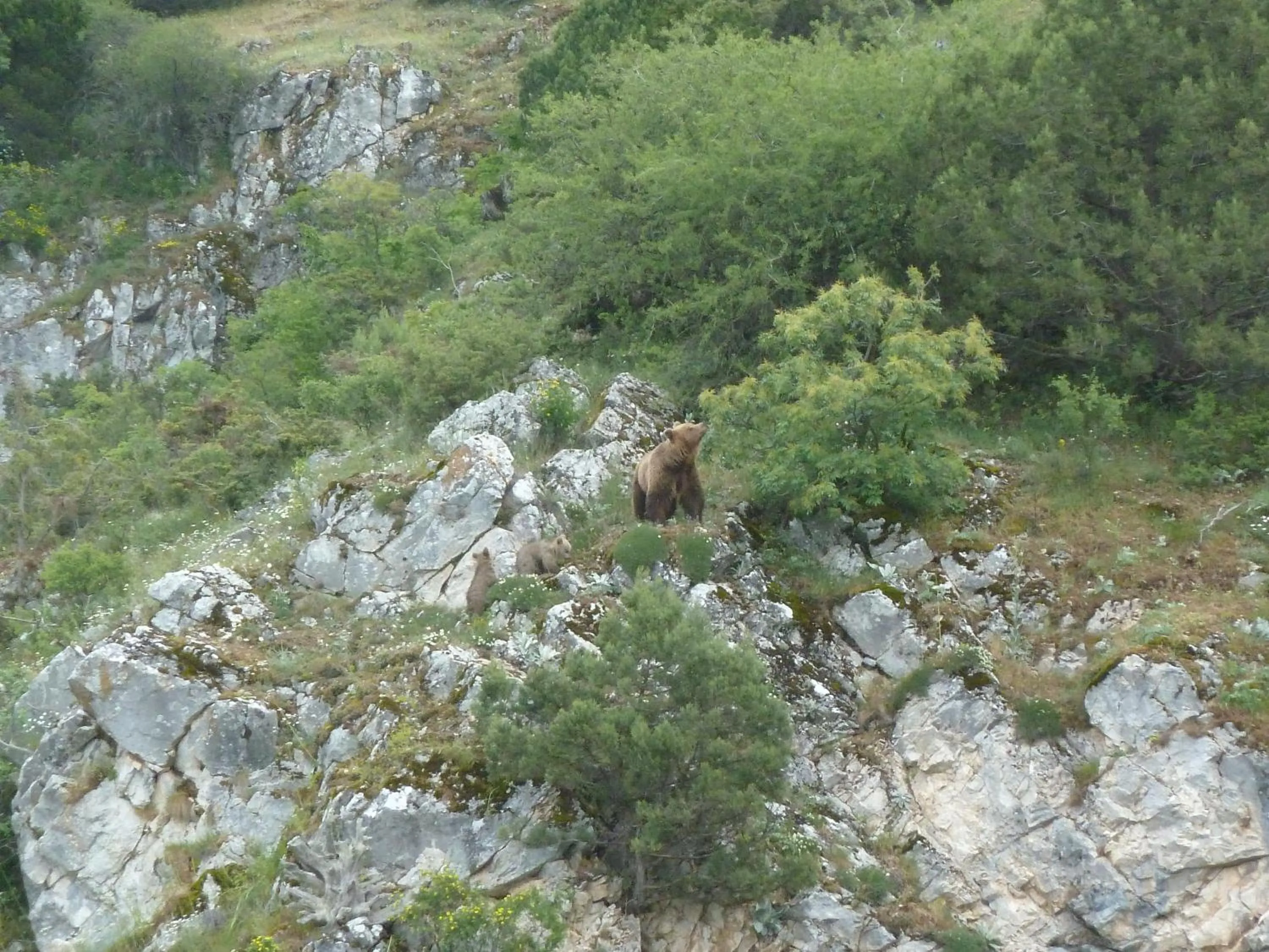 Spring in Agios Germanos