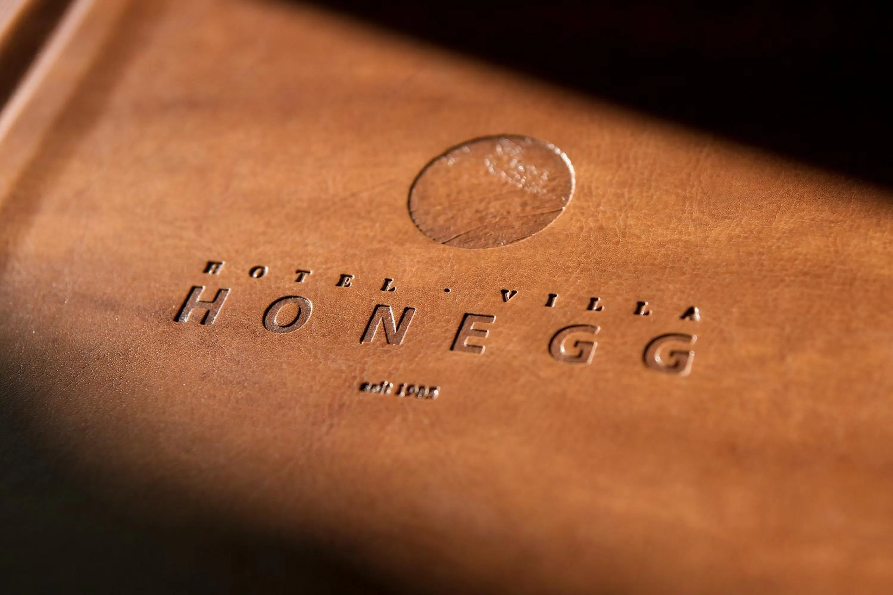 Other in Hotel Villa Honegg