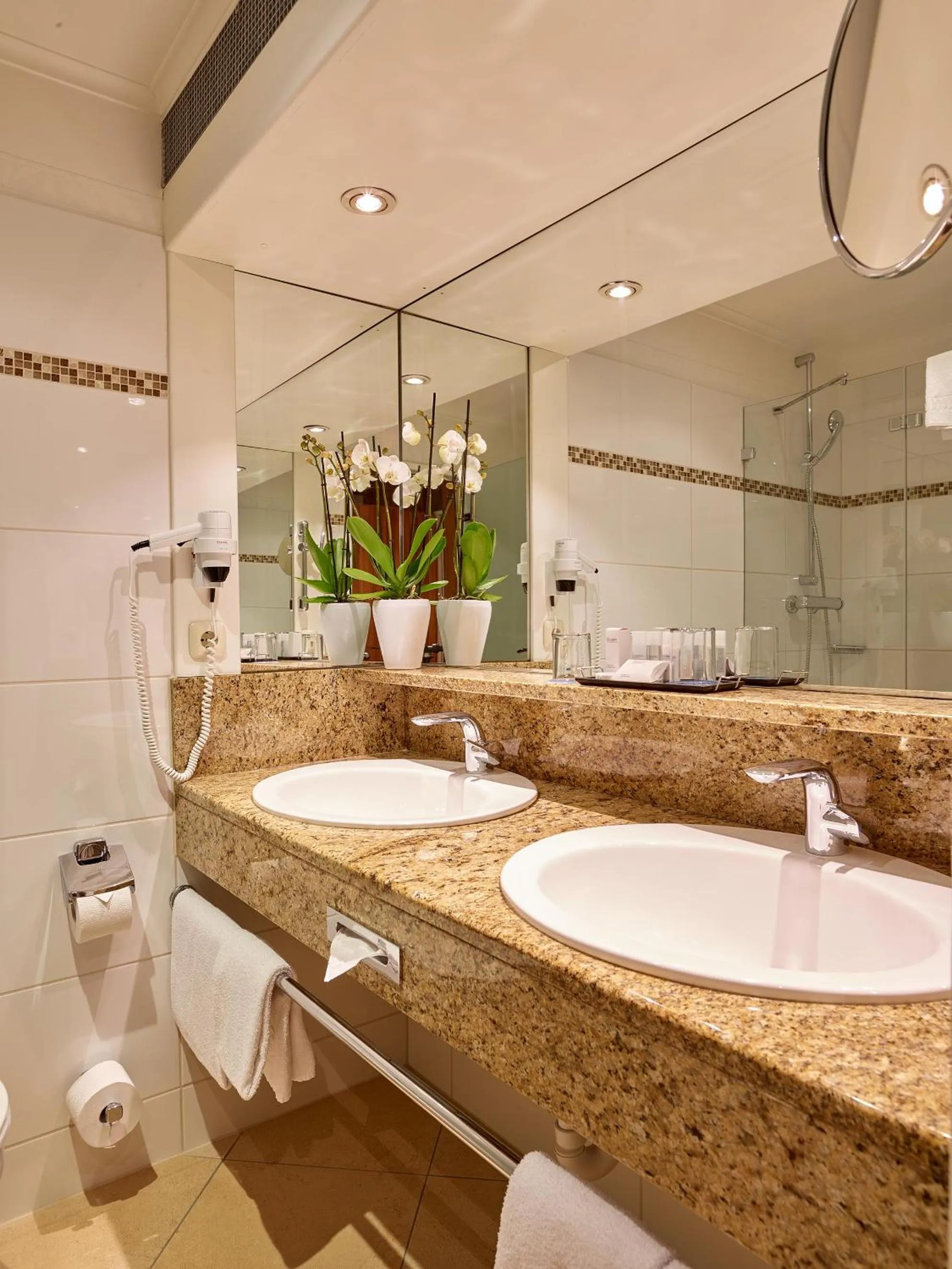 Shower in Hotel Das Ludwig