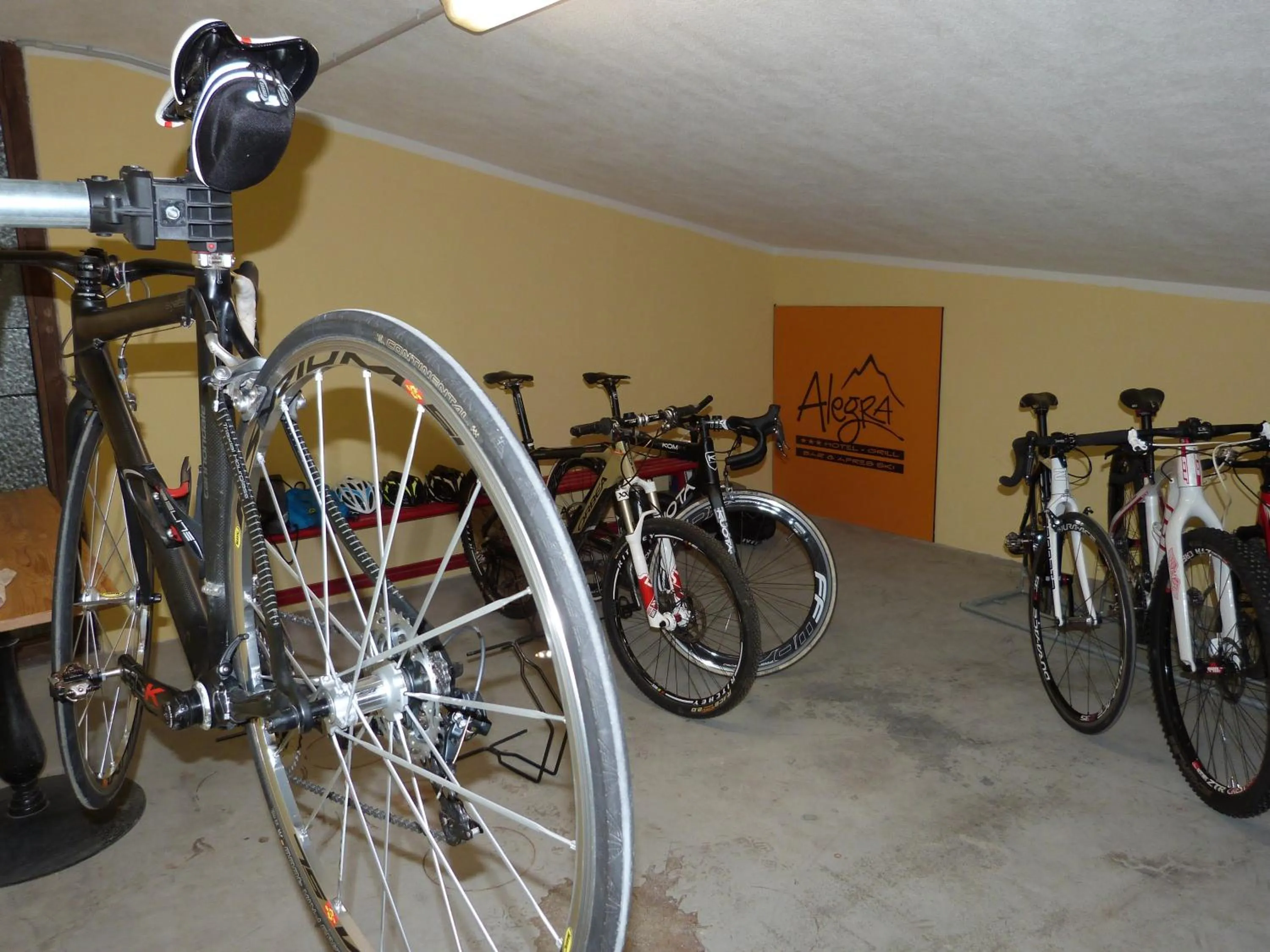 Fitness centre/facilities in Hotel Alegra