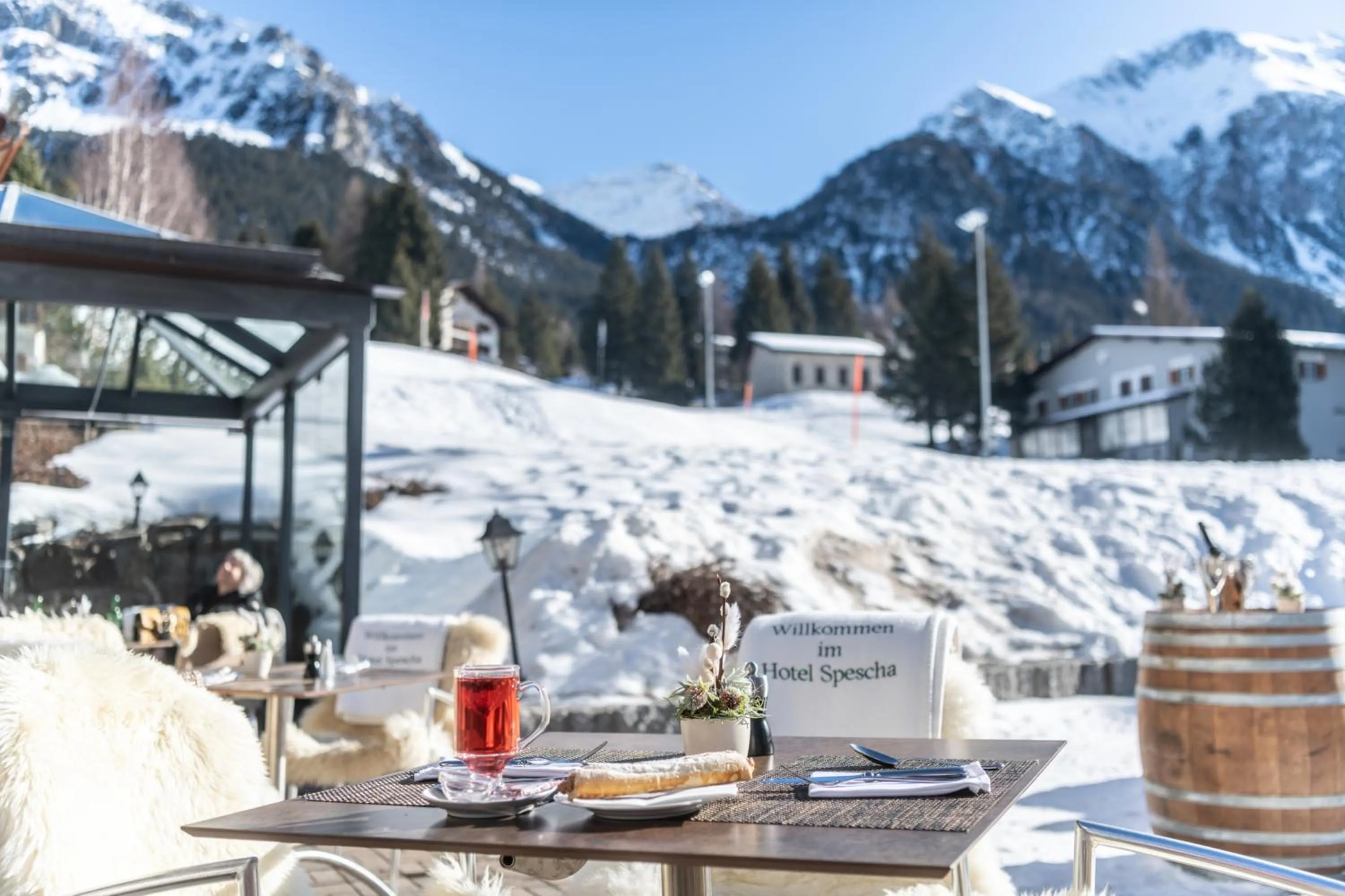Winter in Hotel Spescha