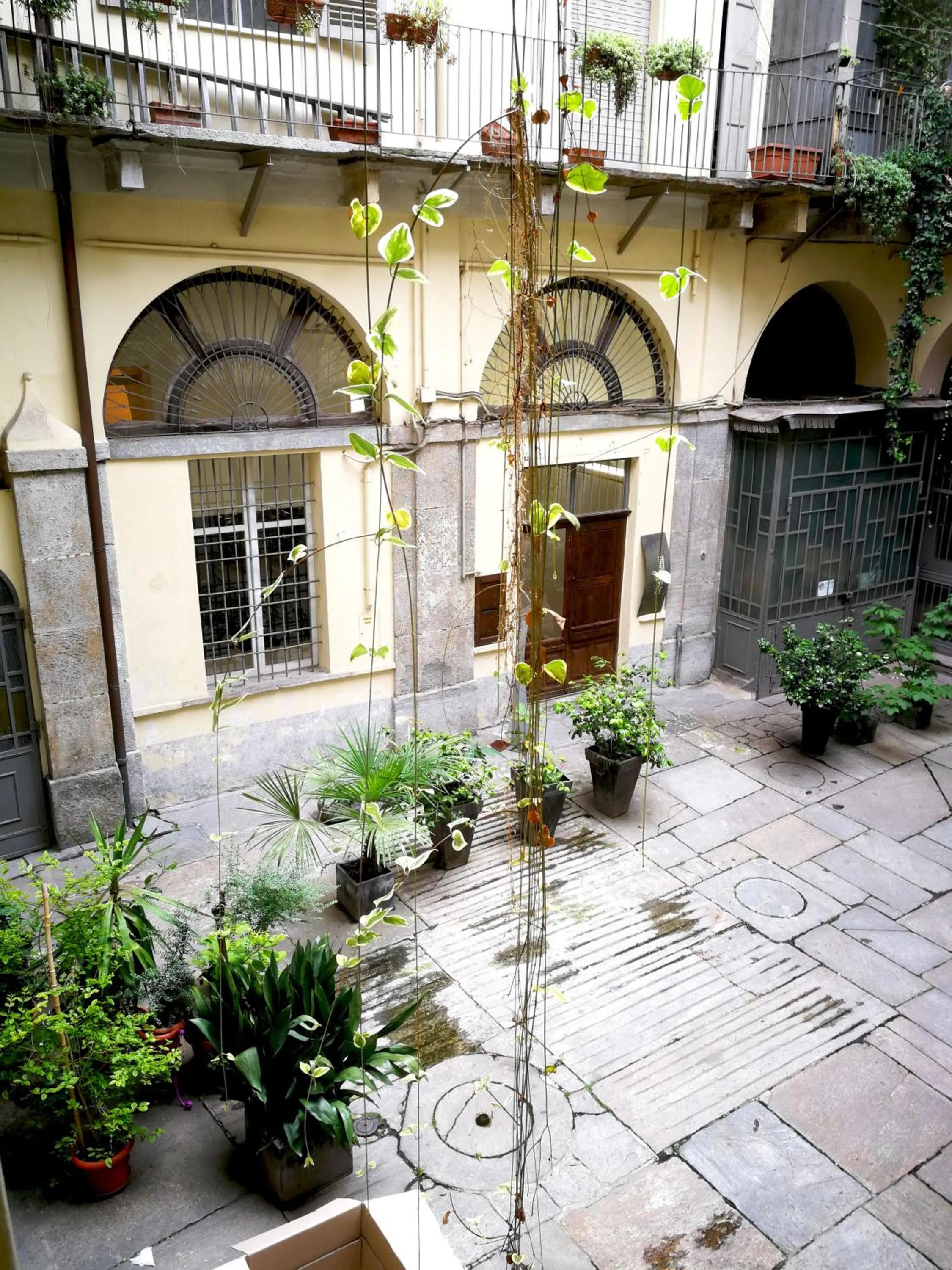 Casa del Cuore