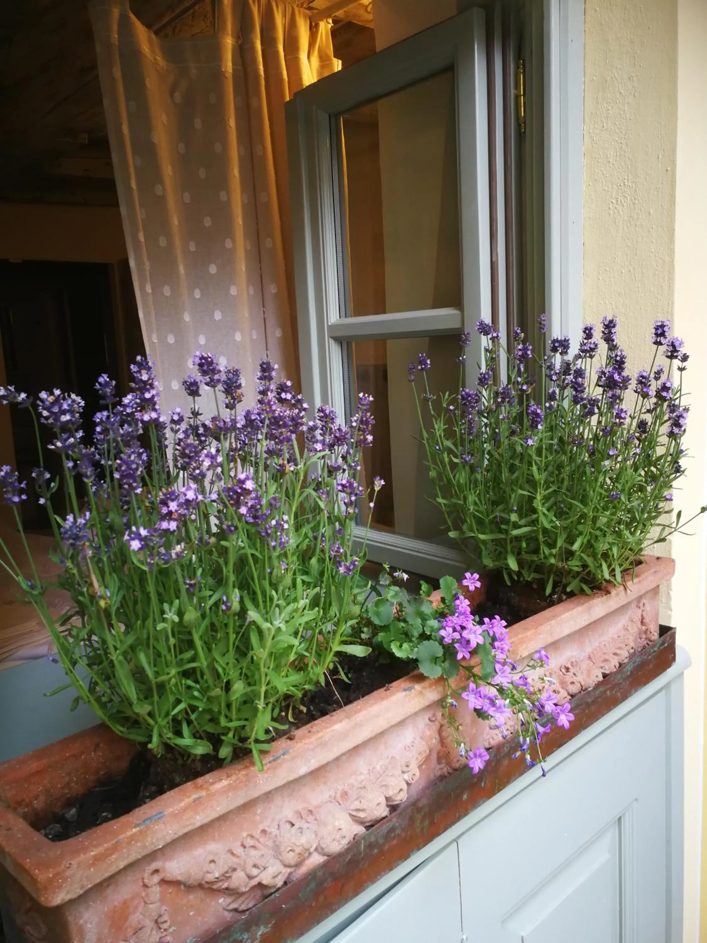 Decorative detail in Casa del Cuore