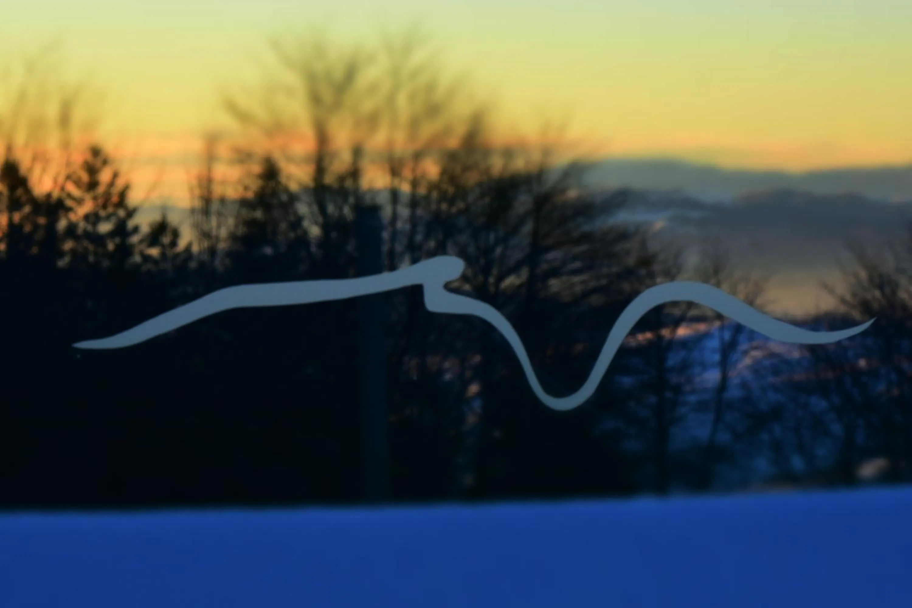 Sunrise in Hotel Monte Campo