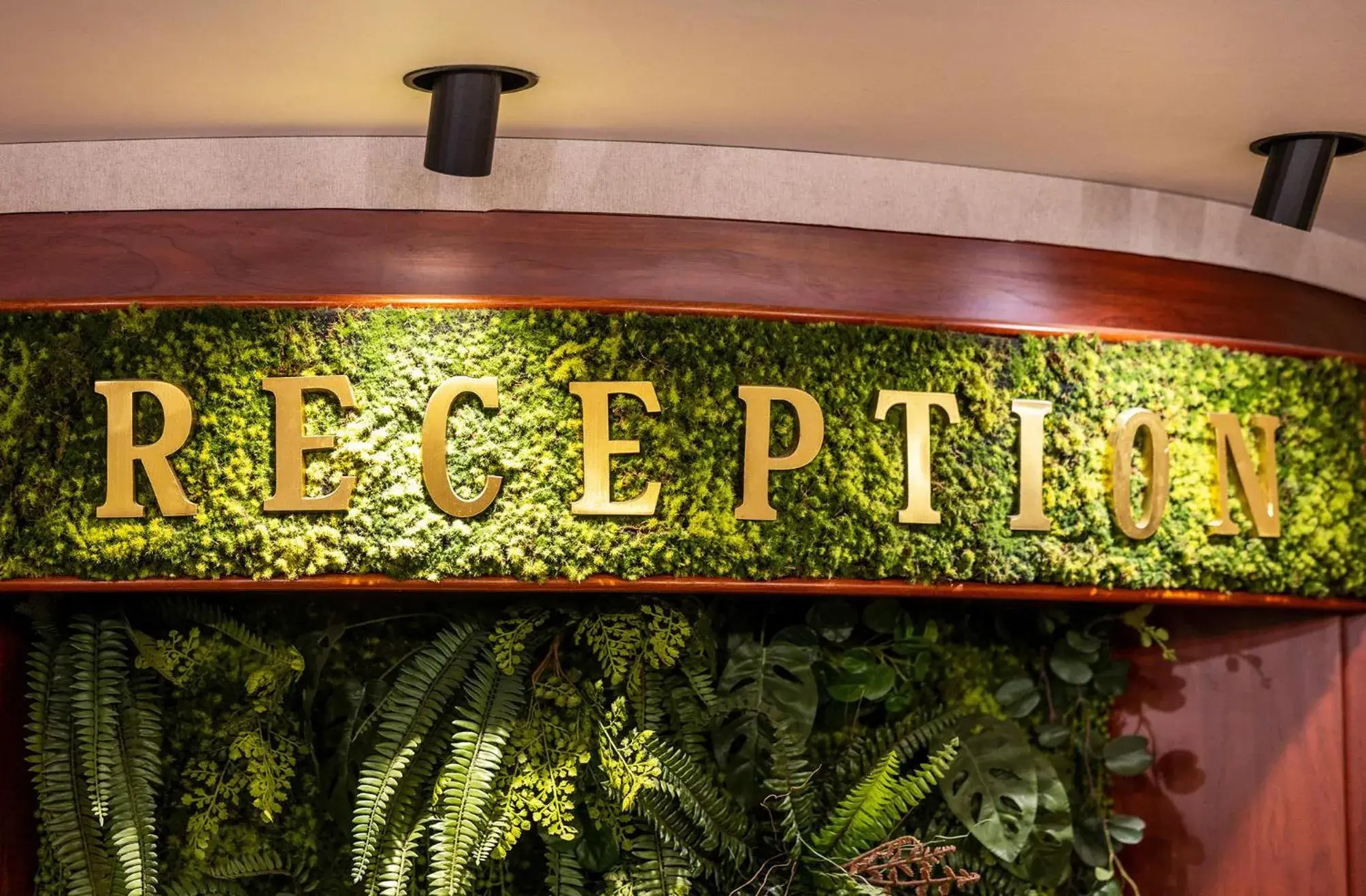 Lobby or reception in Hotel Orbita Lobby or reception in Hotel Orbita