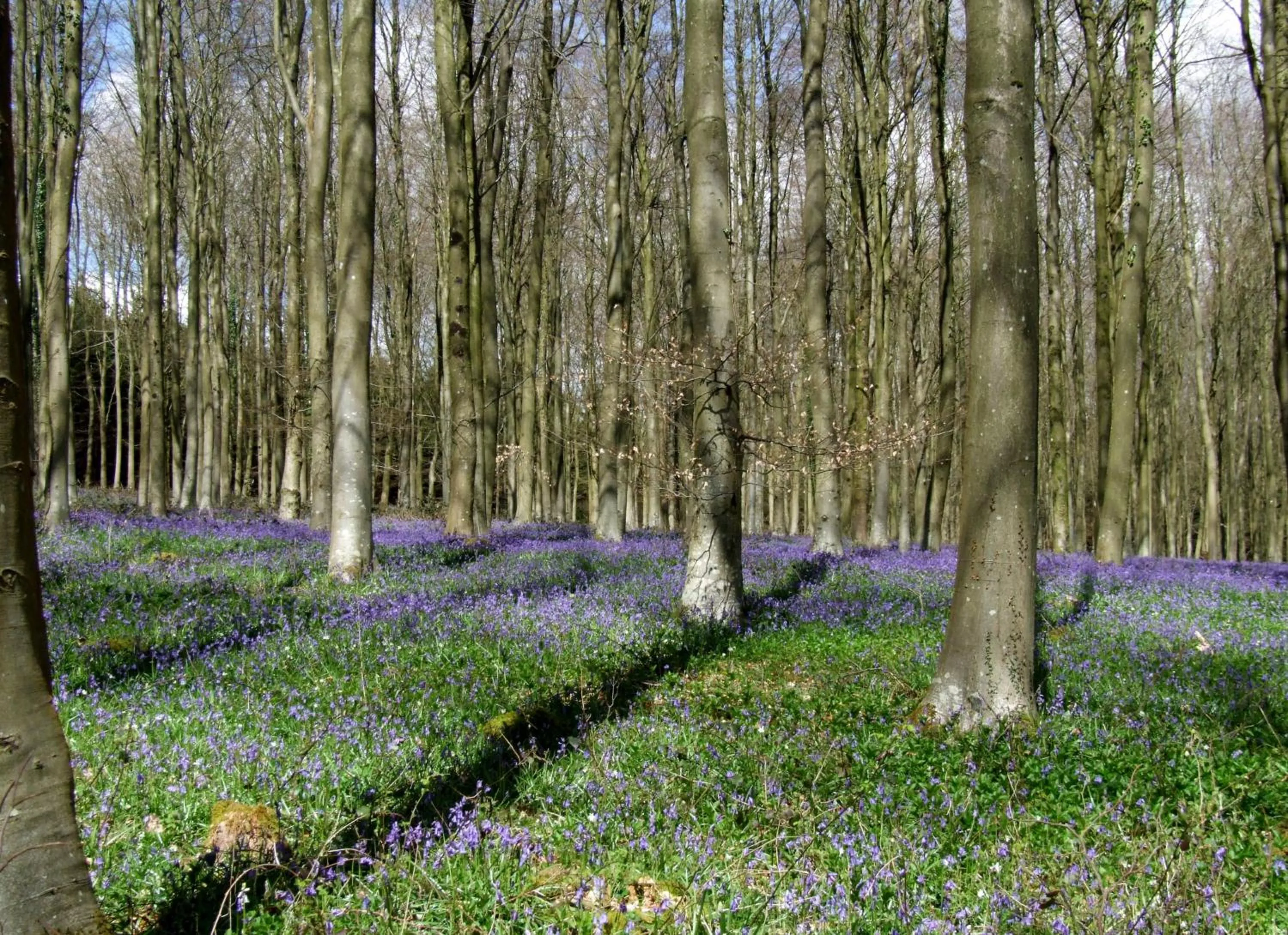 Other in Chilgrove Farm Bed & Breakfast