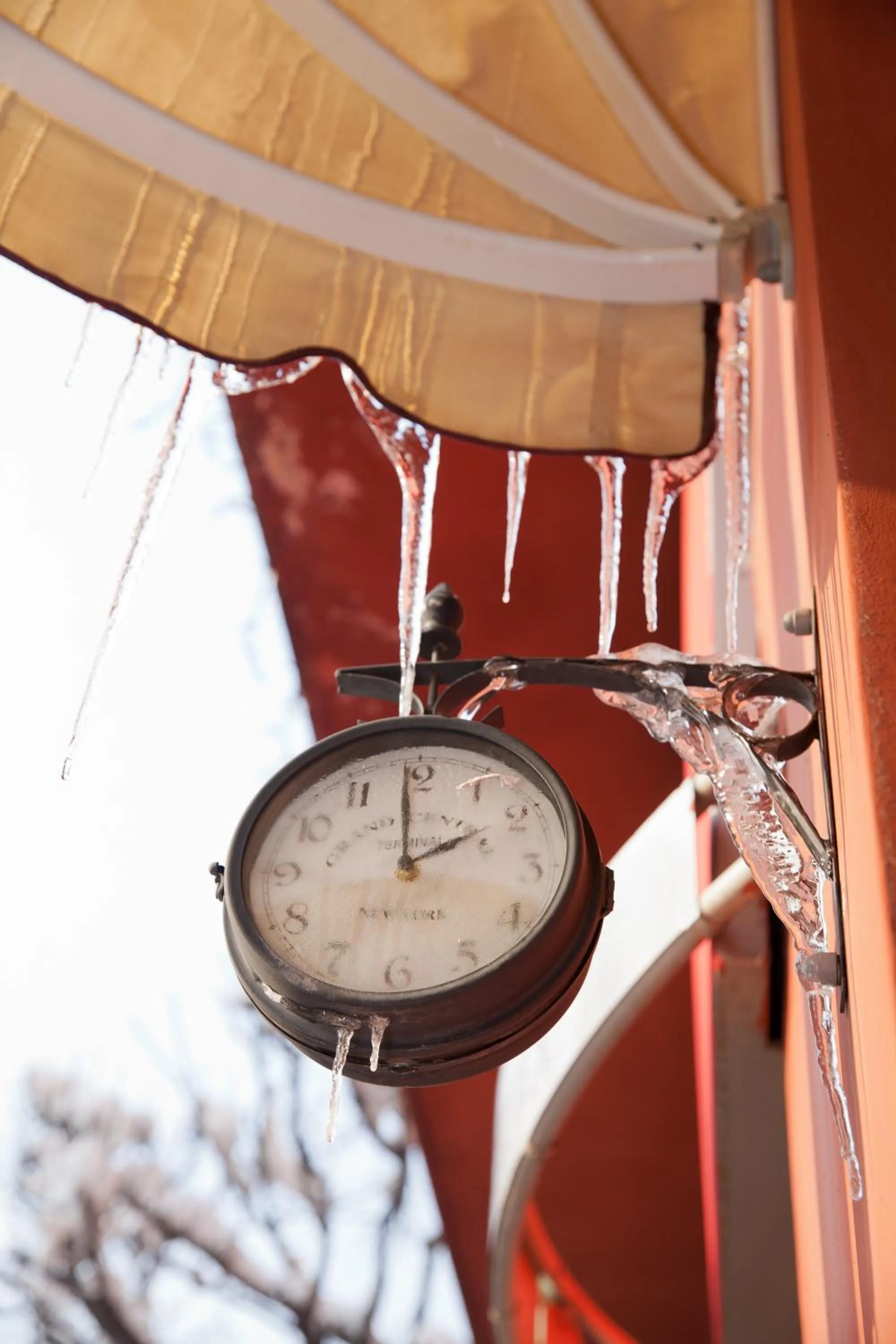 Decorative detail in Scotty's Boutique Hotel