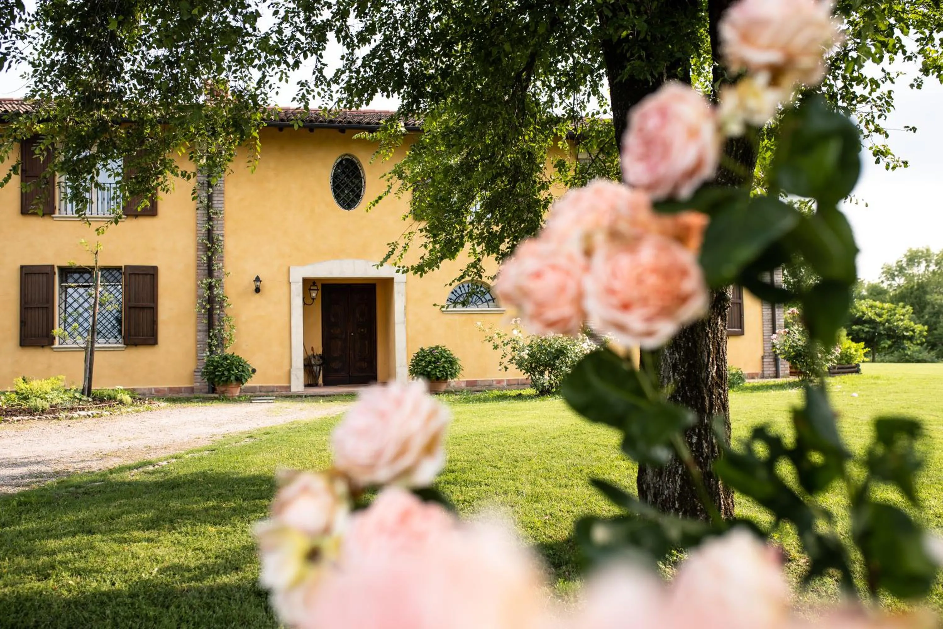 Garden in Belvedere