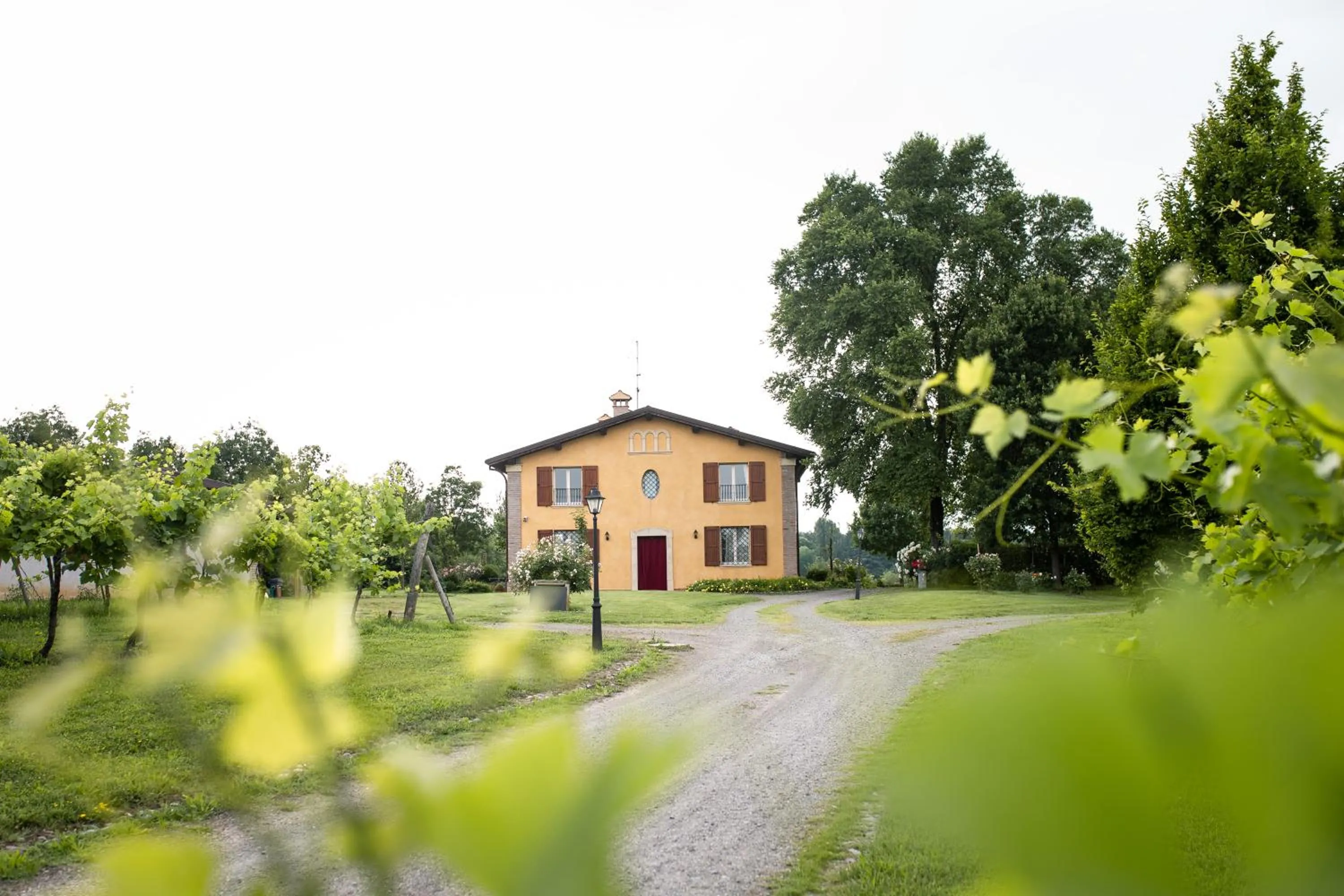 Property building in Belvedere