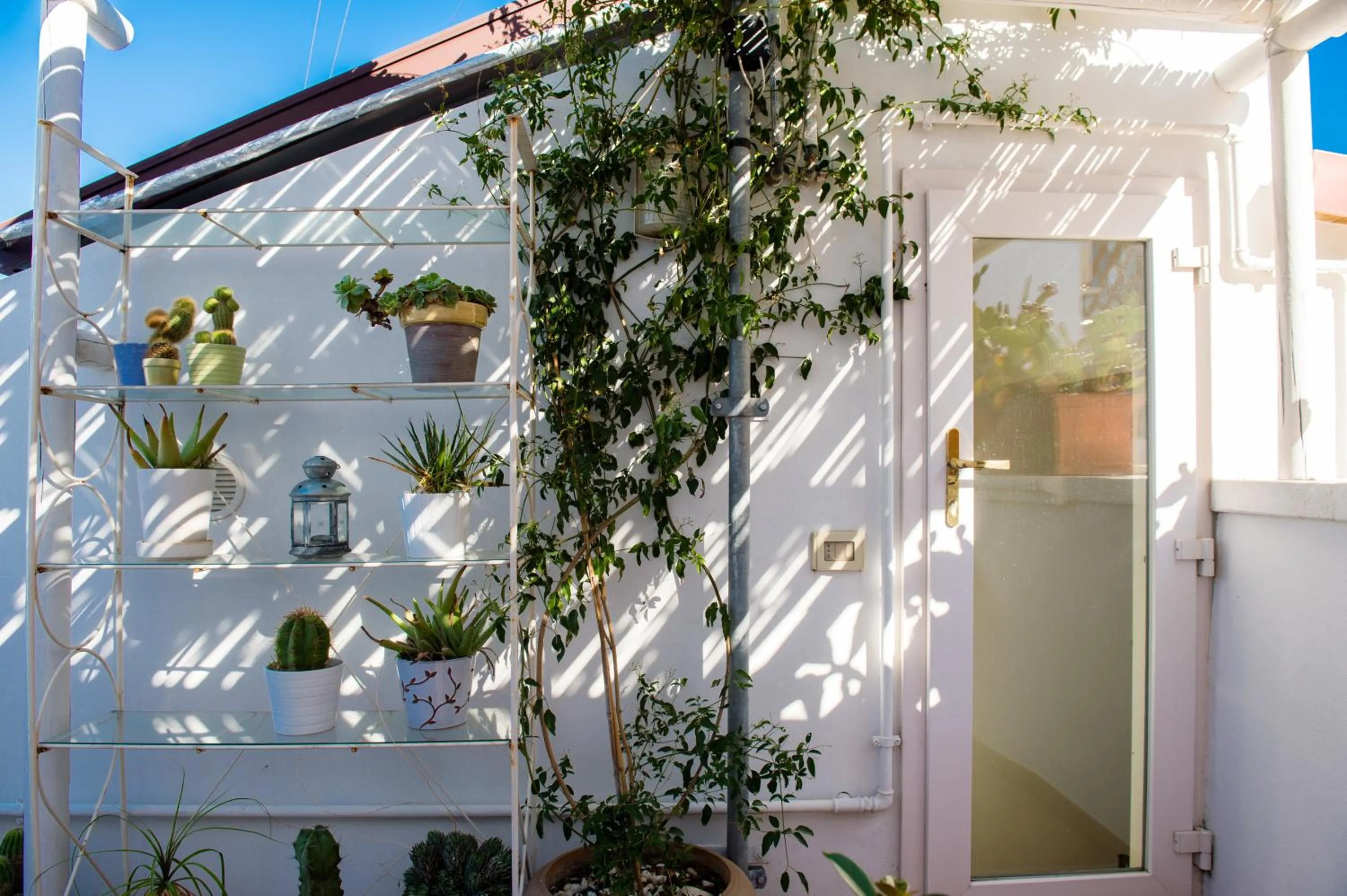 Garden in B&B Casa Dorsi