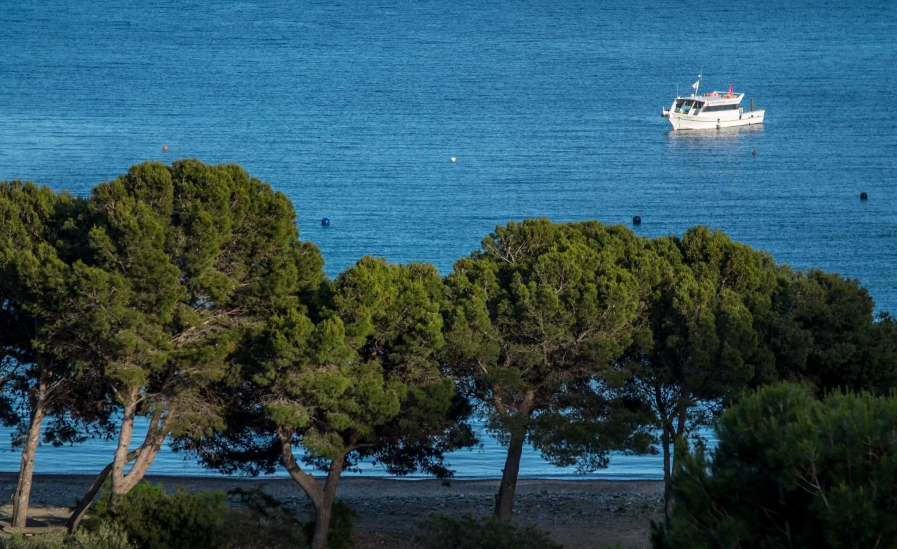 Spring in Hotel Cala Joncols