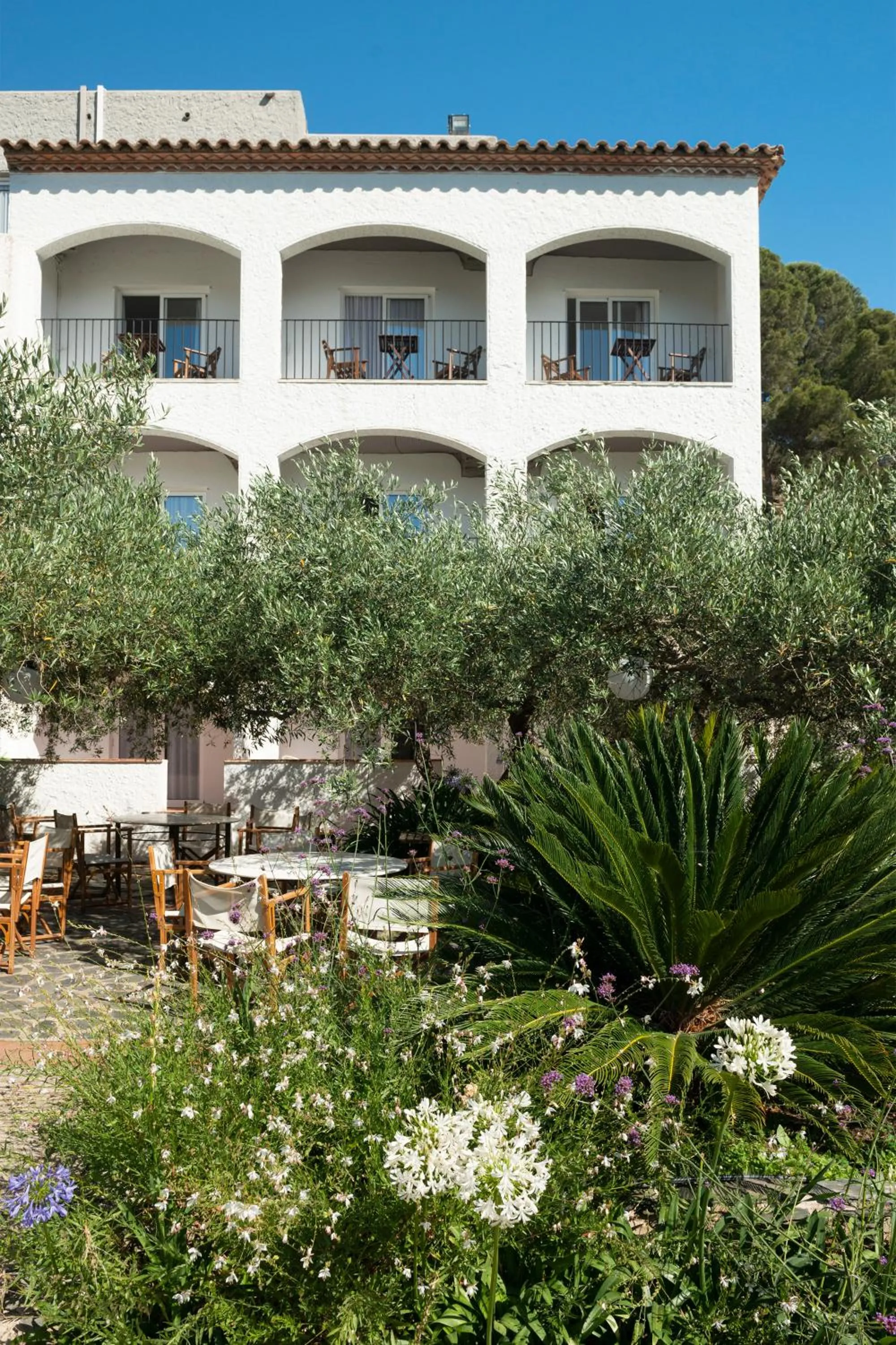 Property building in Hotel Cala Joncols