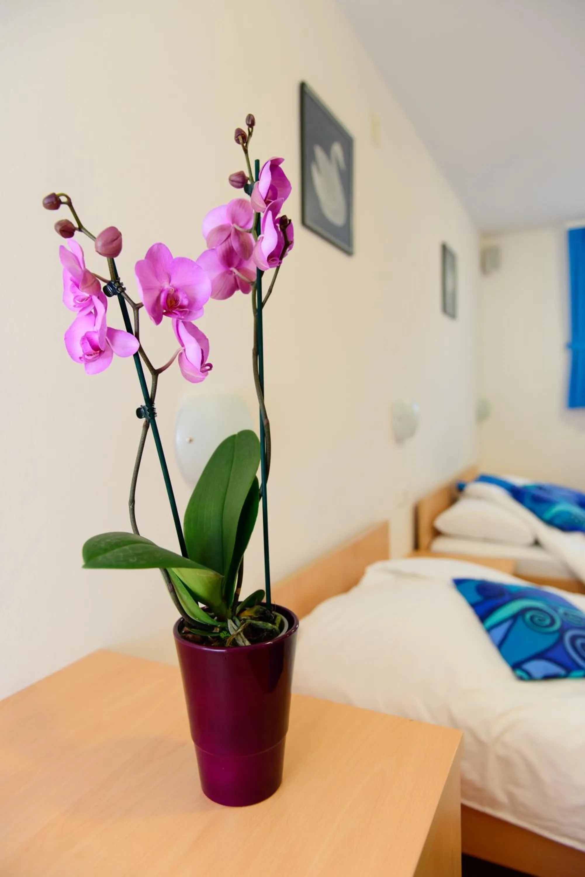 Family Room in Boutique Hotel Loka